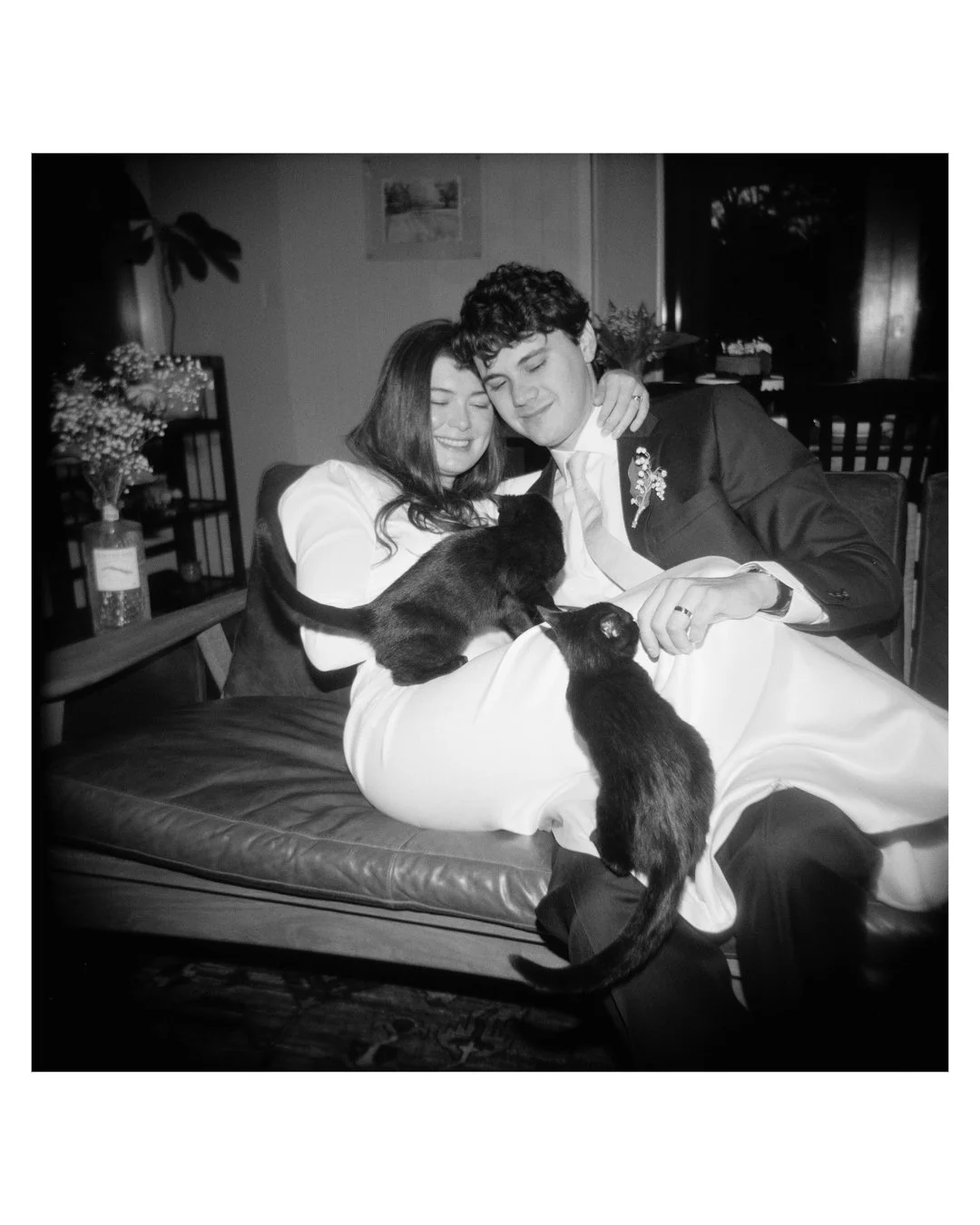 Winter Elopement at Home with Kittens!