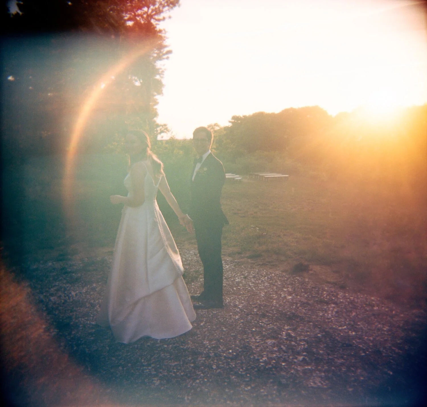 A color film photograph with sun flare. A canid portrait taken at sunset with a film camera that has a romantic feel.