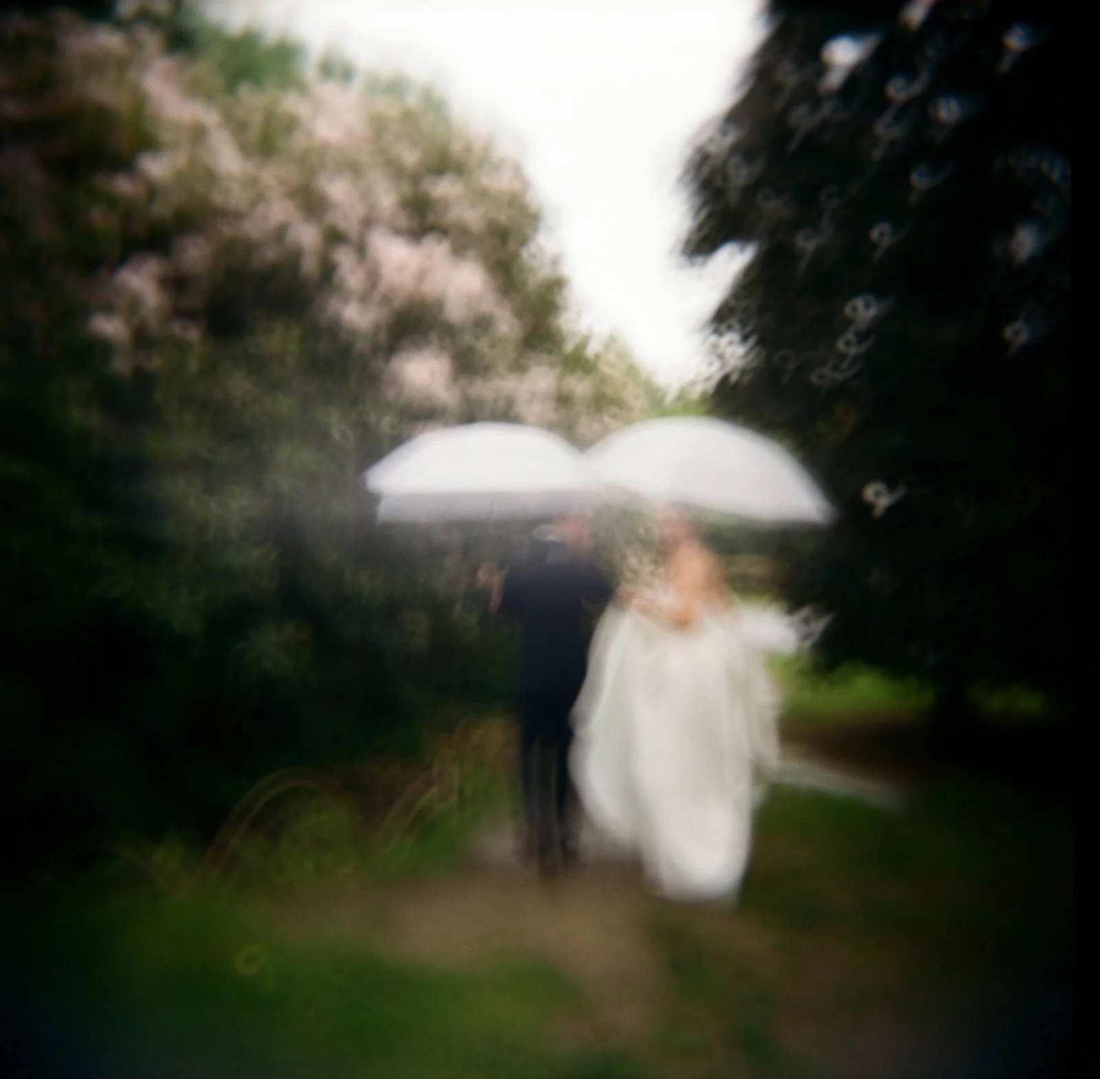 A soft, dreamy color film photo of a wedding couple in the garden at elm bank with white umbrellas and pink flowers and greenery. Photo by Boston based Christina Richards.