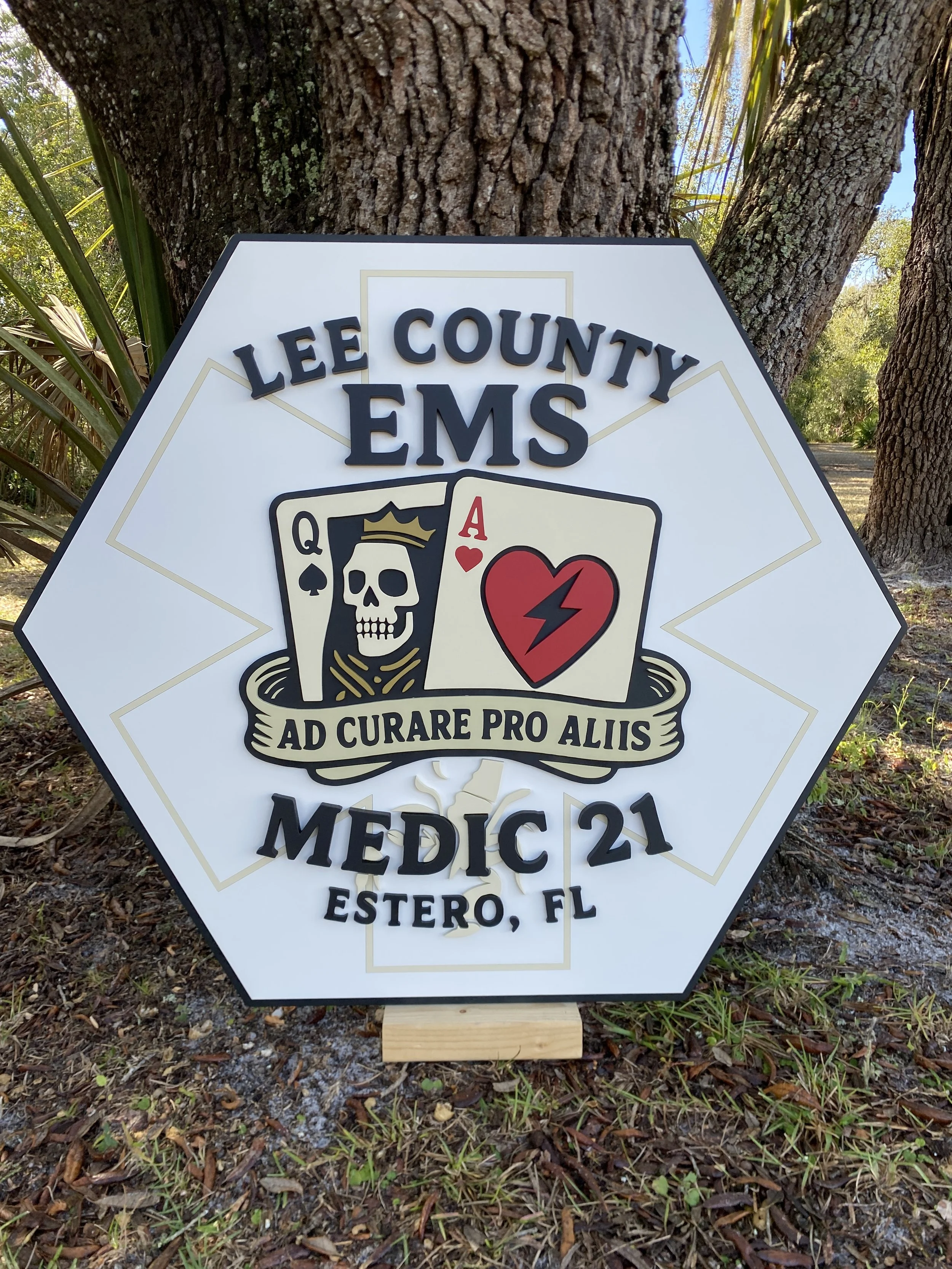 Custom 3D Wall Art | Interior EMS Department Logo | Madylzie Designs