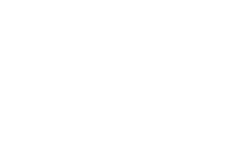 THE ALCHEMY GROUP
