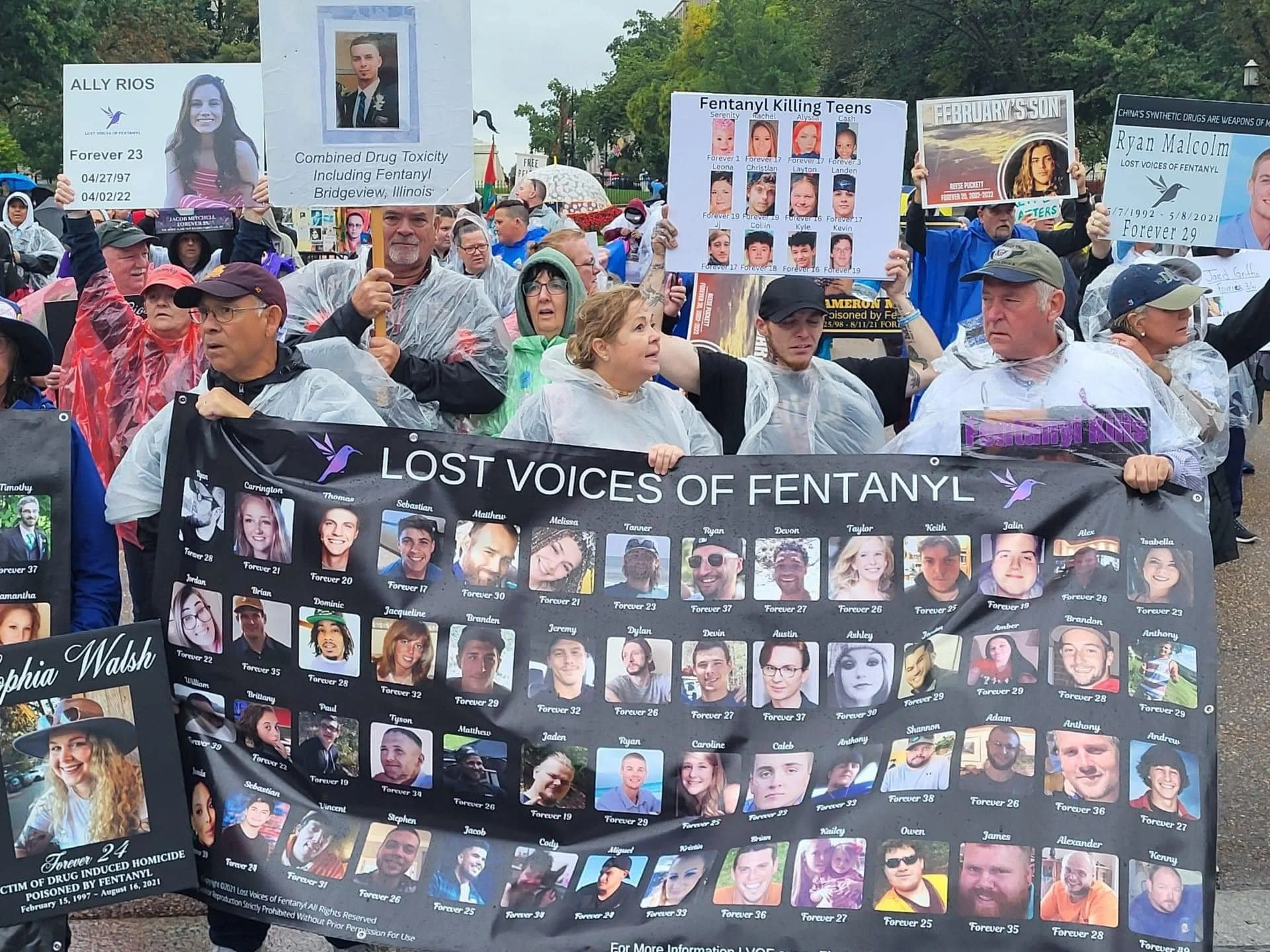 10229975759648370.jpg