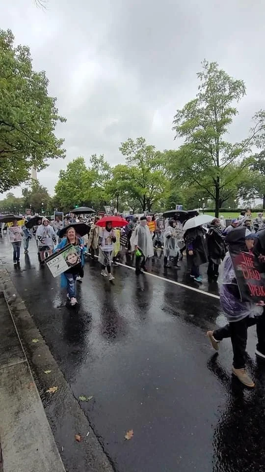 10229975789169108.jpg