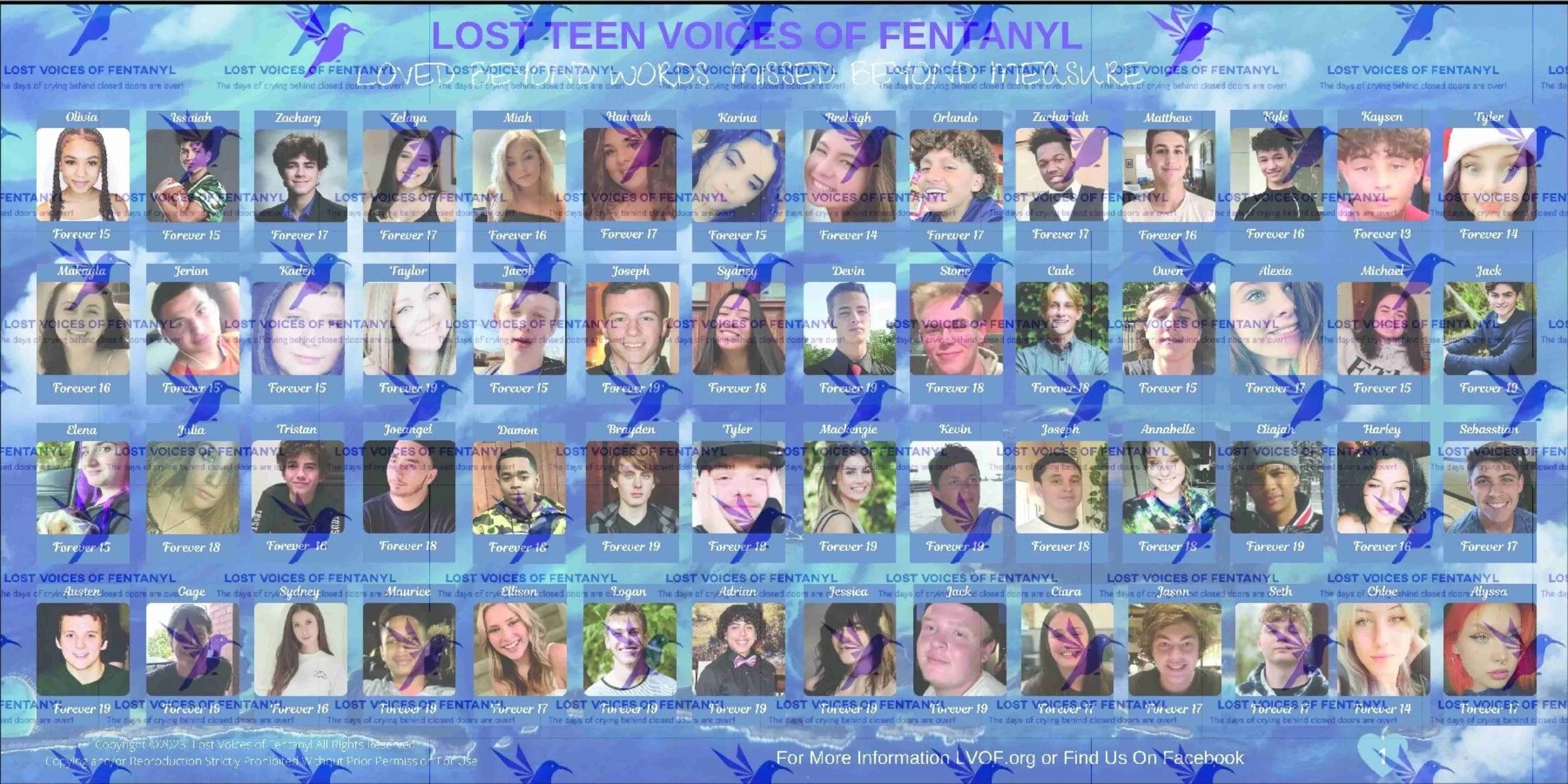 LVOF TEEN BANNER 4X8