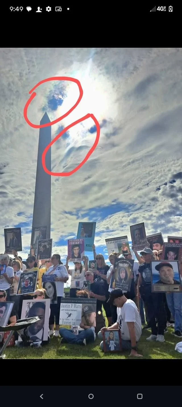 24935962919399753.jpg