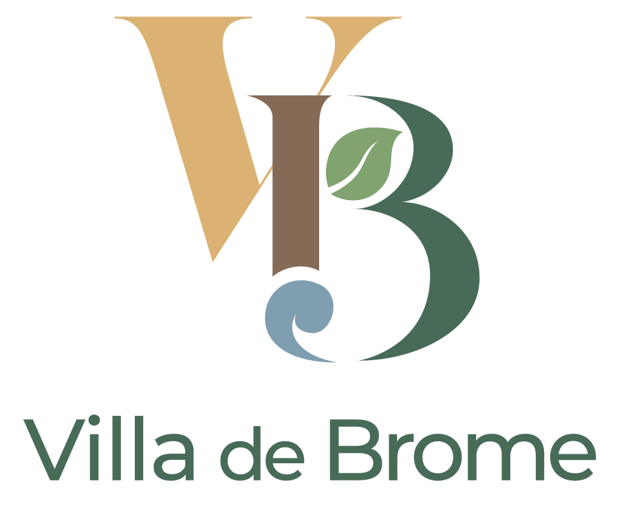 Logo Villa de Brome.png