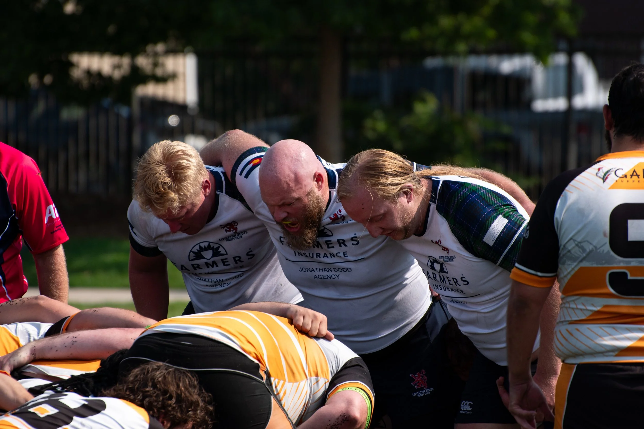 DSC_0001.jpg