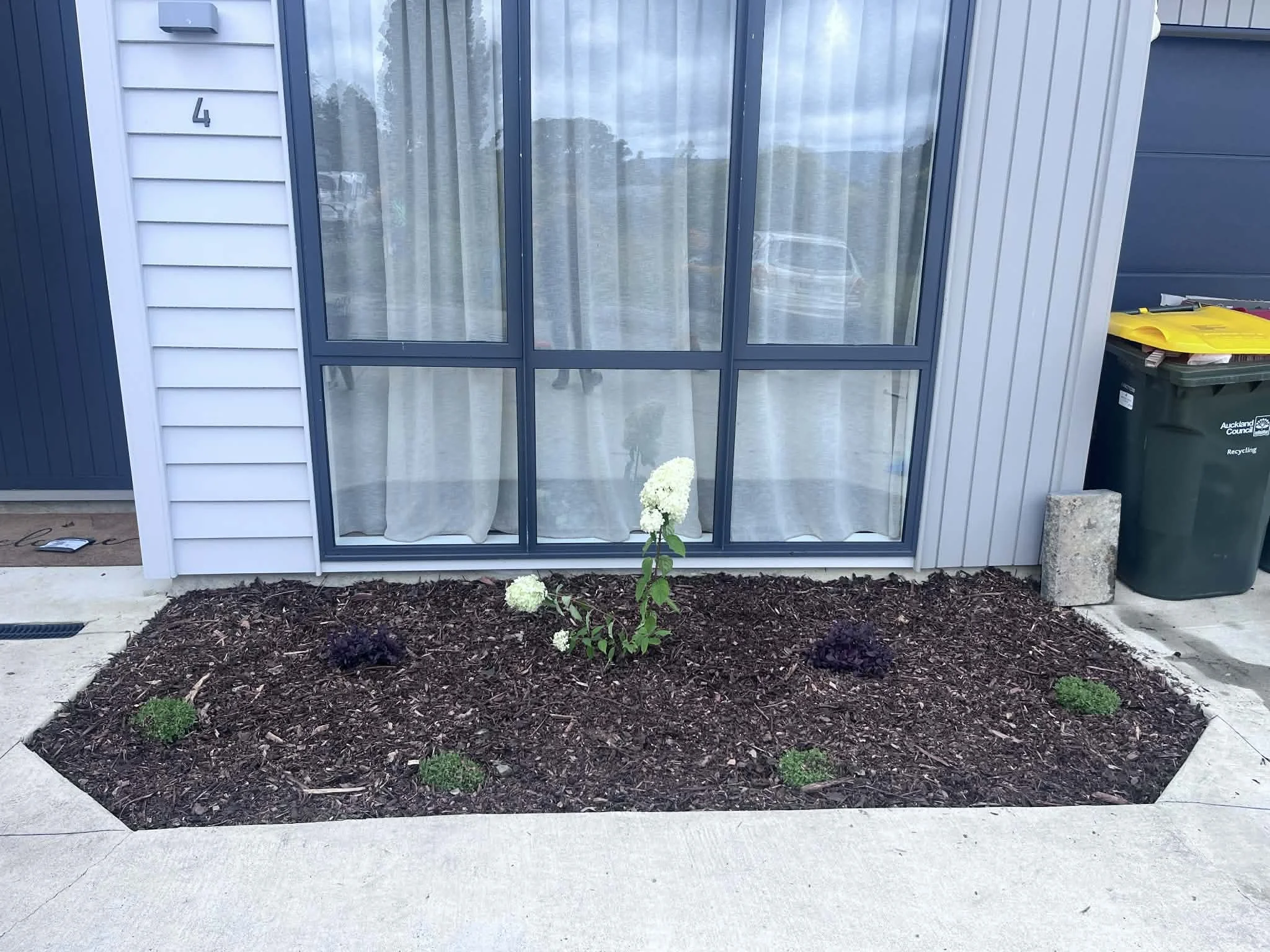 planting and mulch
