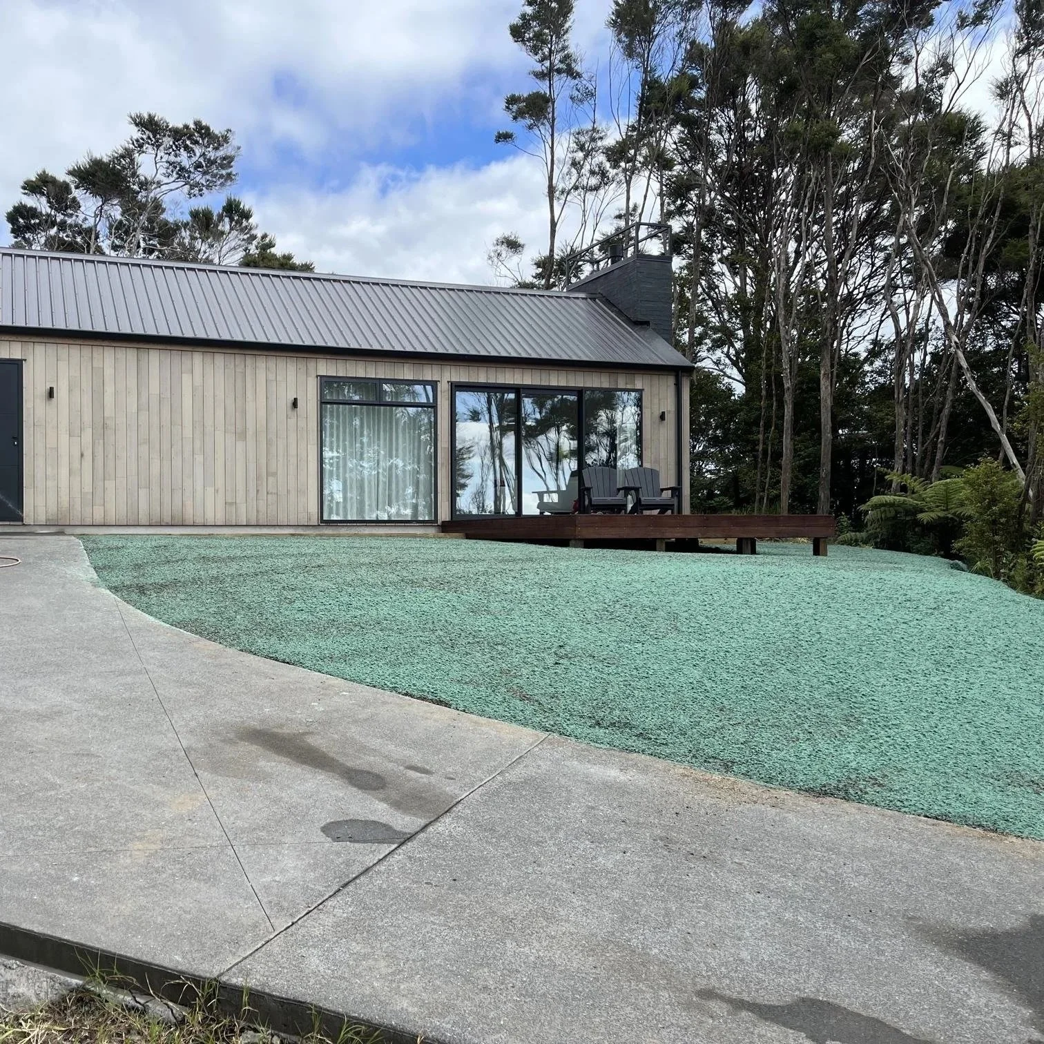 Fresh hydro seed sprays on prepped lawn