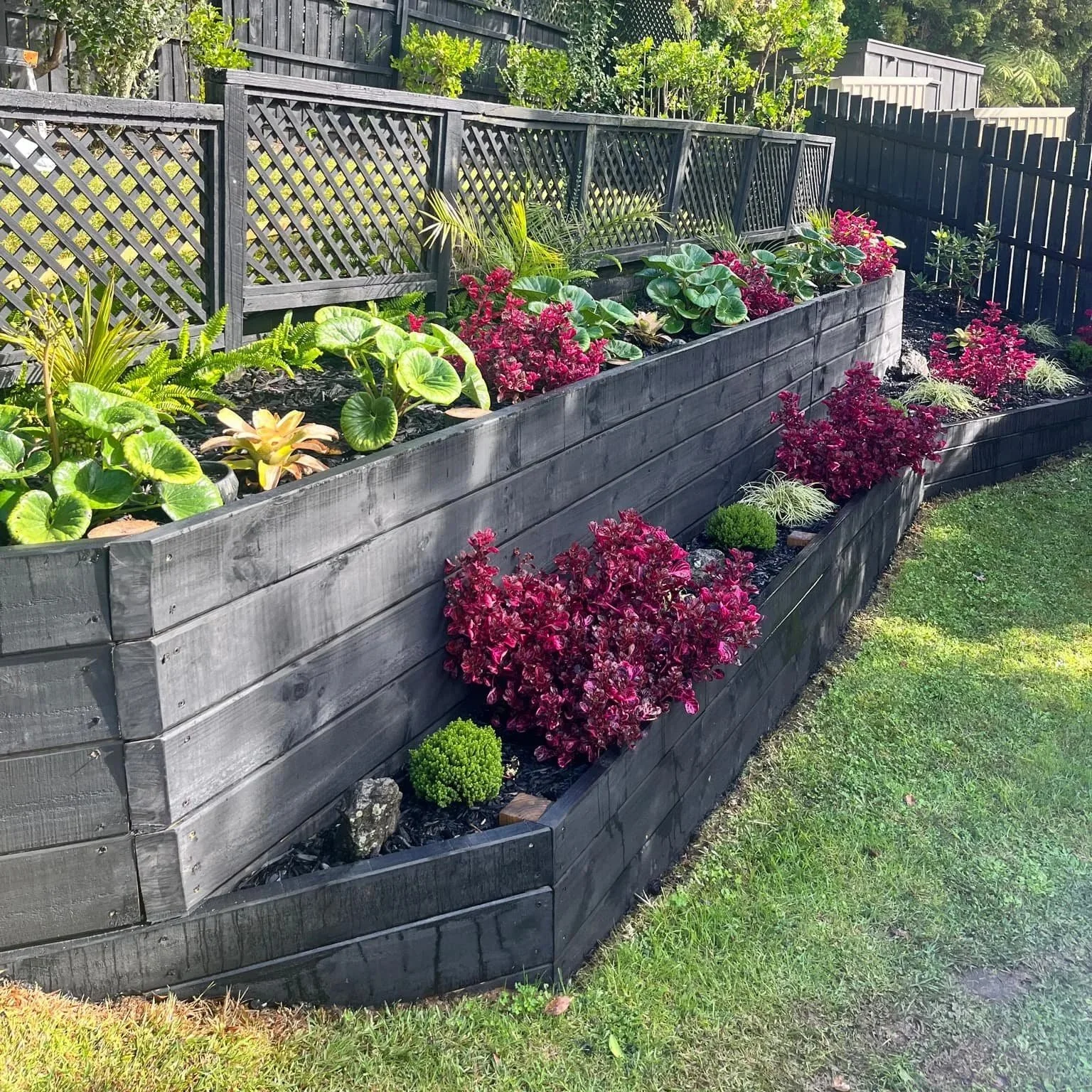 Black retaining wall with sub tropical planting