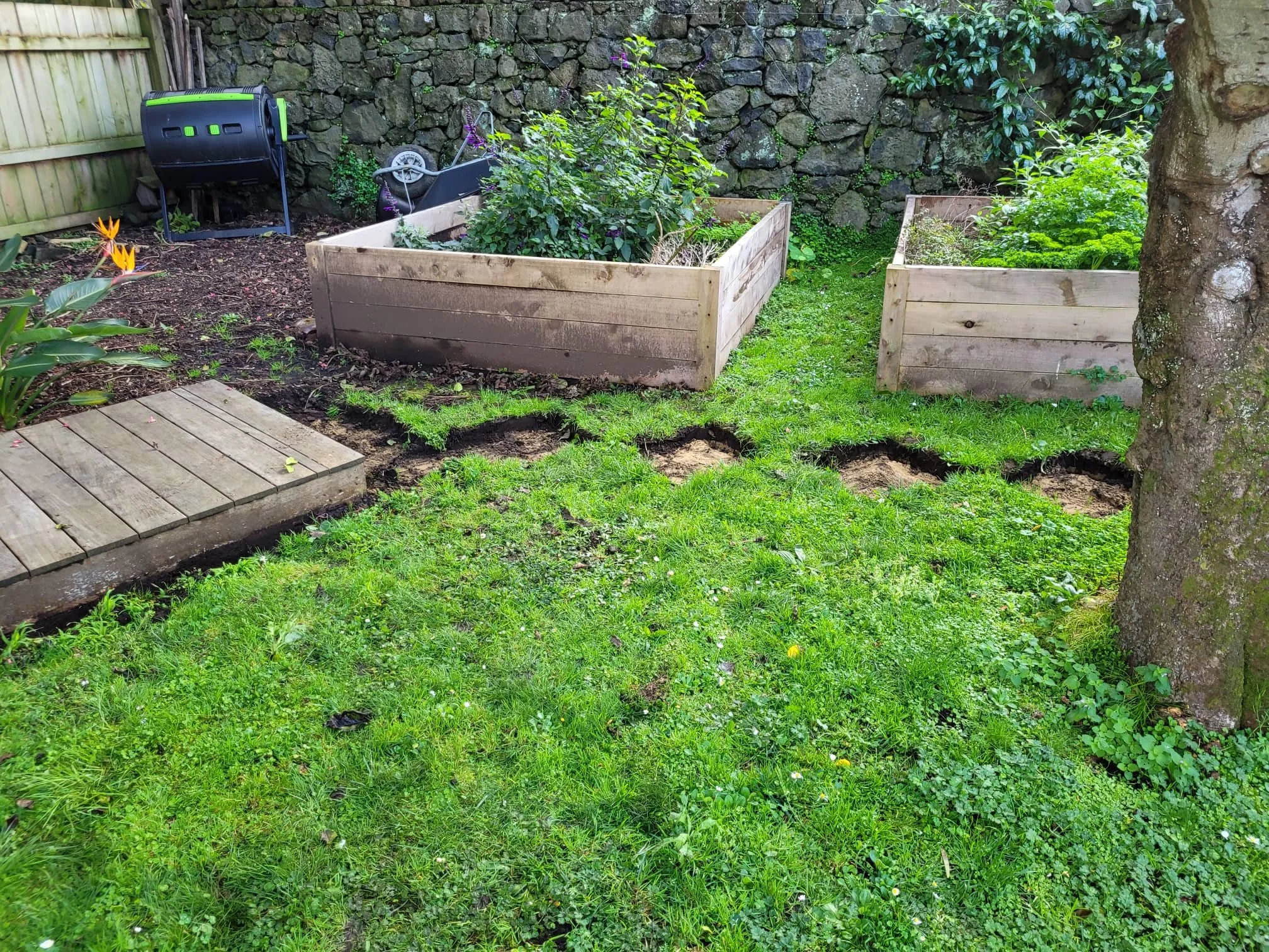 302338669_1132923894003258_605910585961792075_n (1).jpg