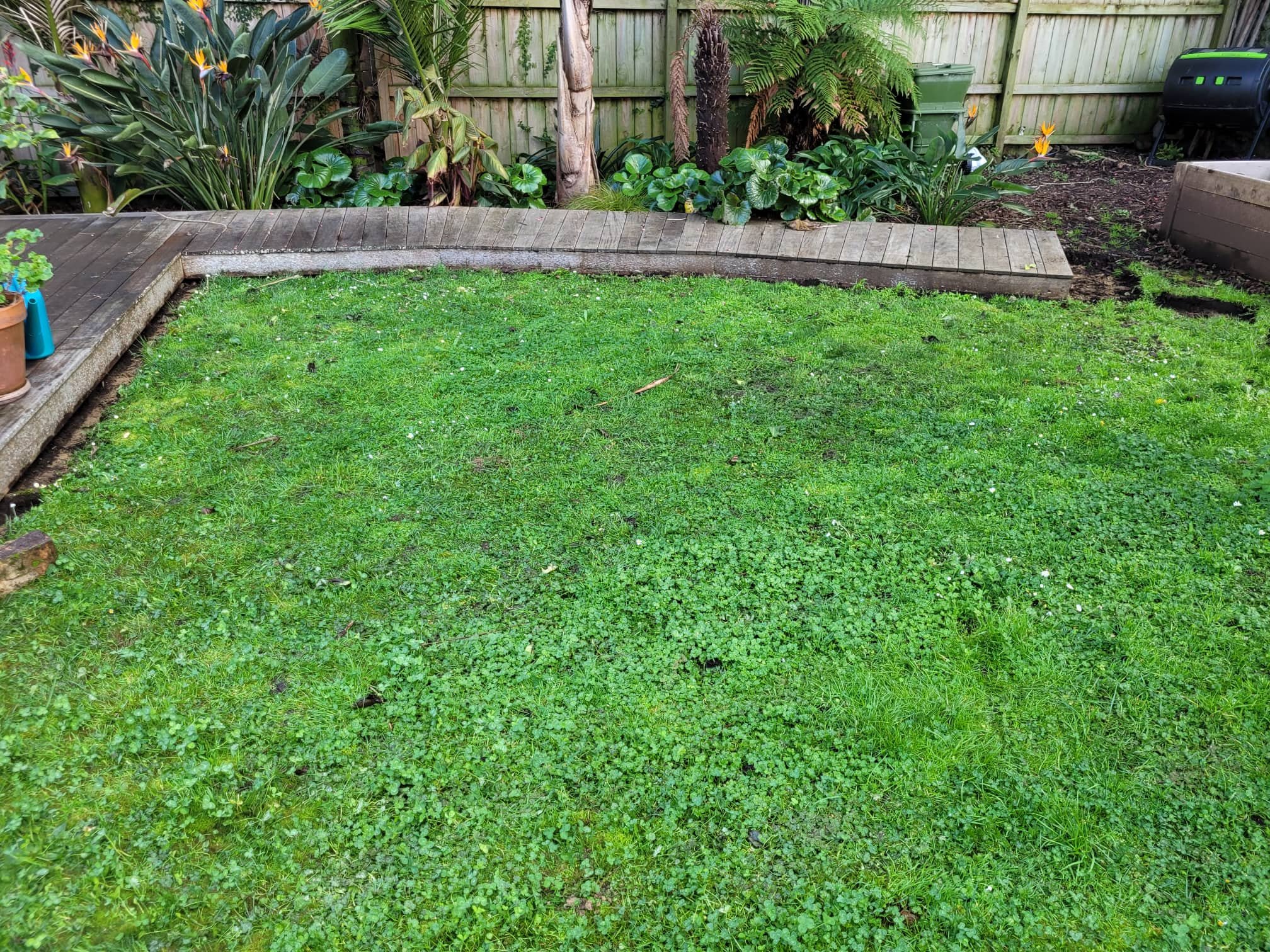 305016825_1495457784210902_5821122460071654084_n (1).jpg