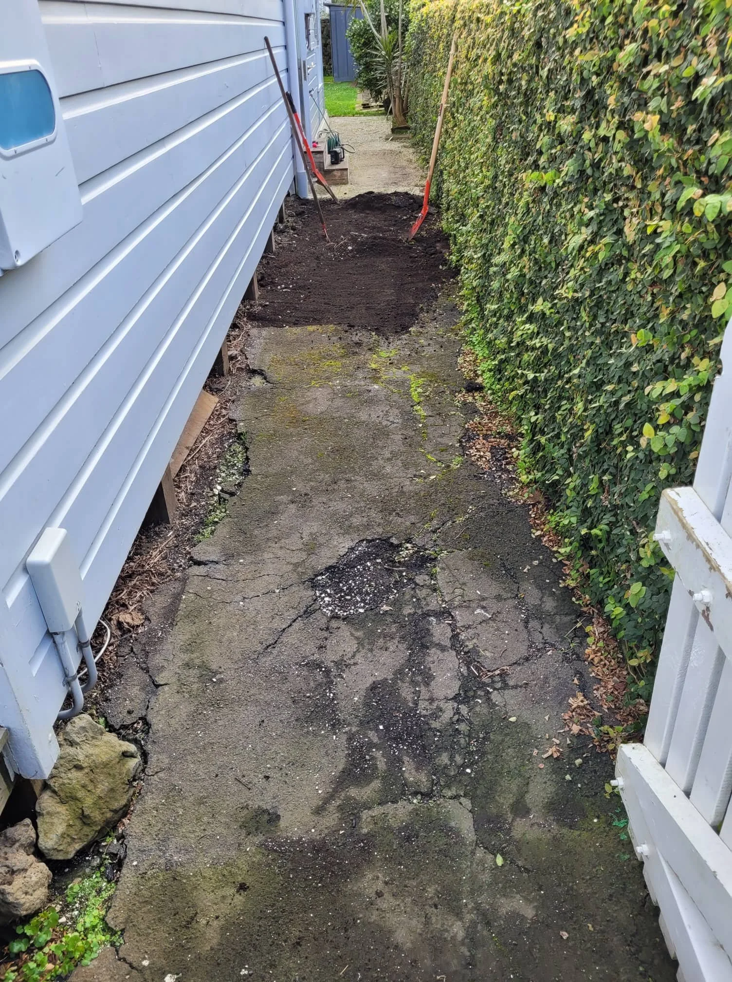 302359008_497800182158700_71714793290549467_n (1).jpg