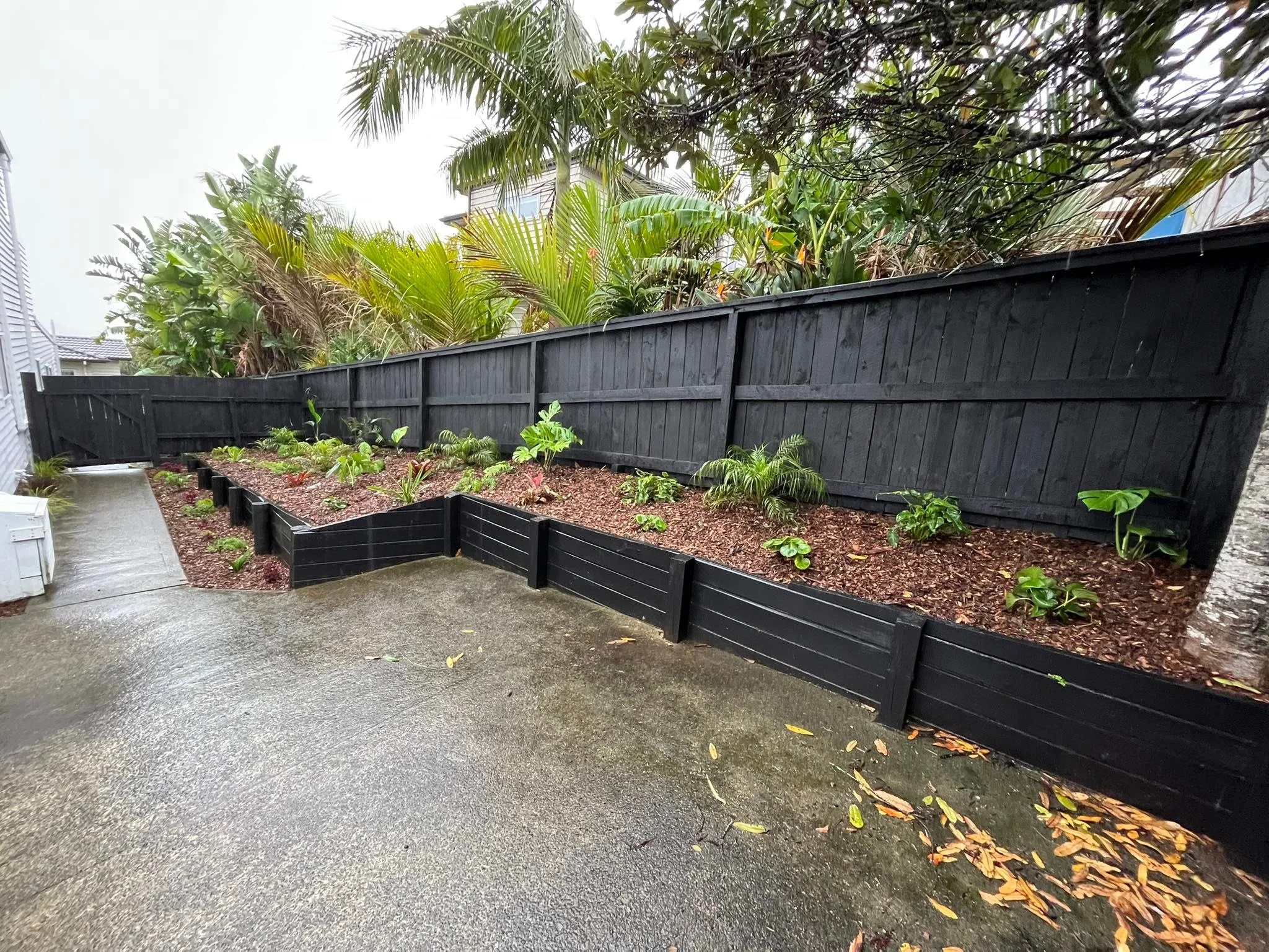 Sub tropical plants within retaining wall