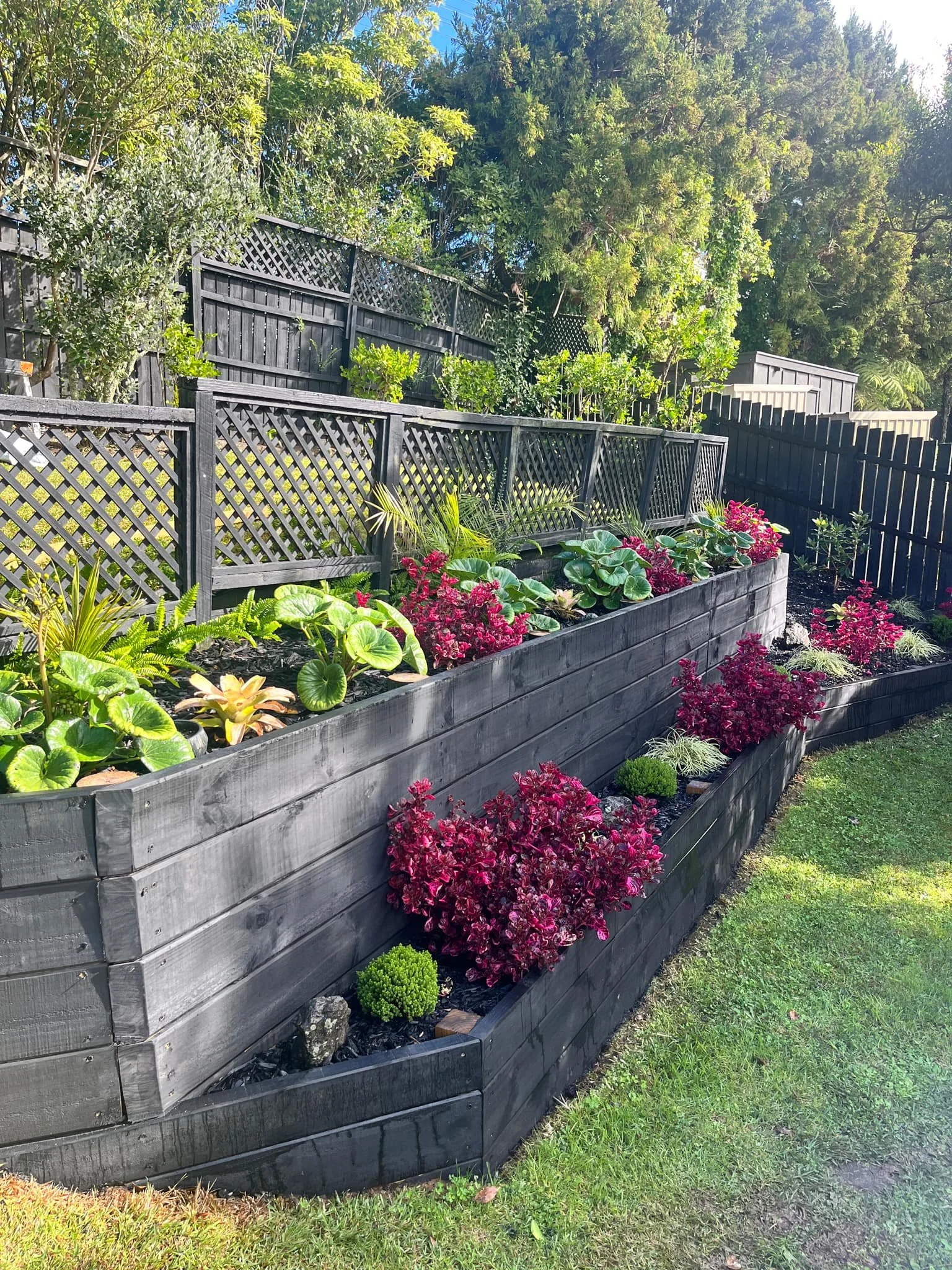 Green gecko gardens Sub tropical planting