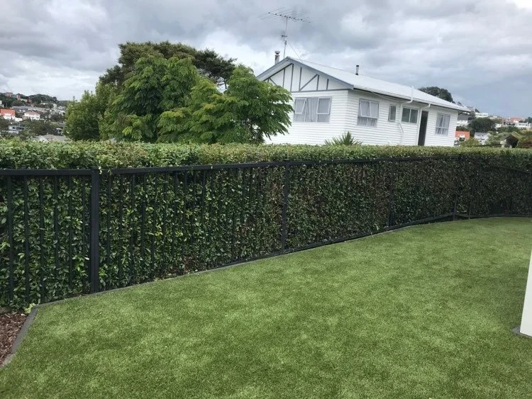 A backyard with a manicured lawn, a black metal fence, a hedge behind the fence, and a white house with a sloped roof in the background, under a cloudy sky.