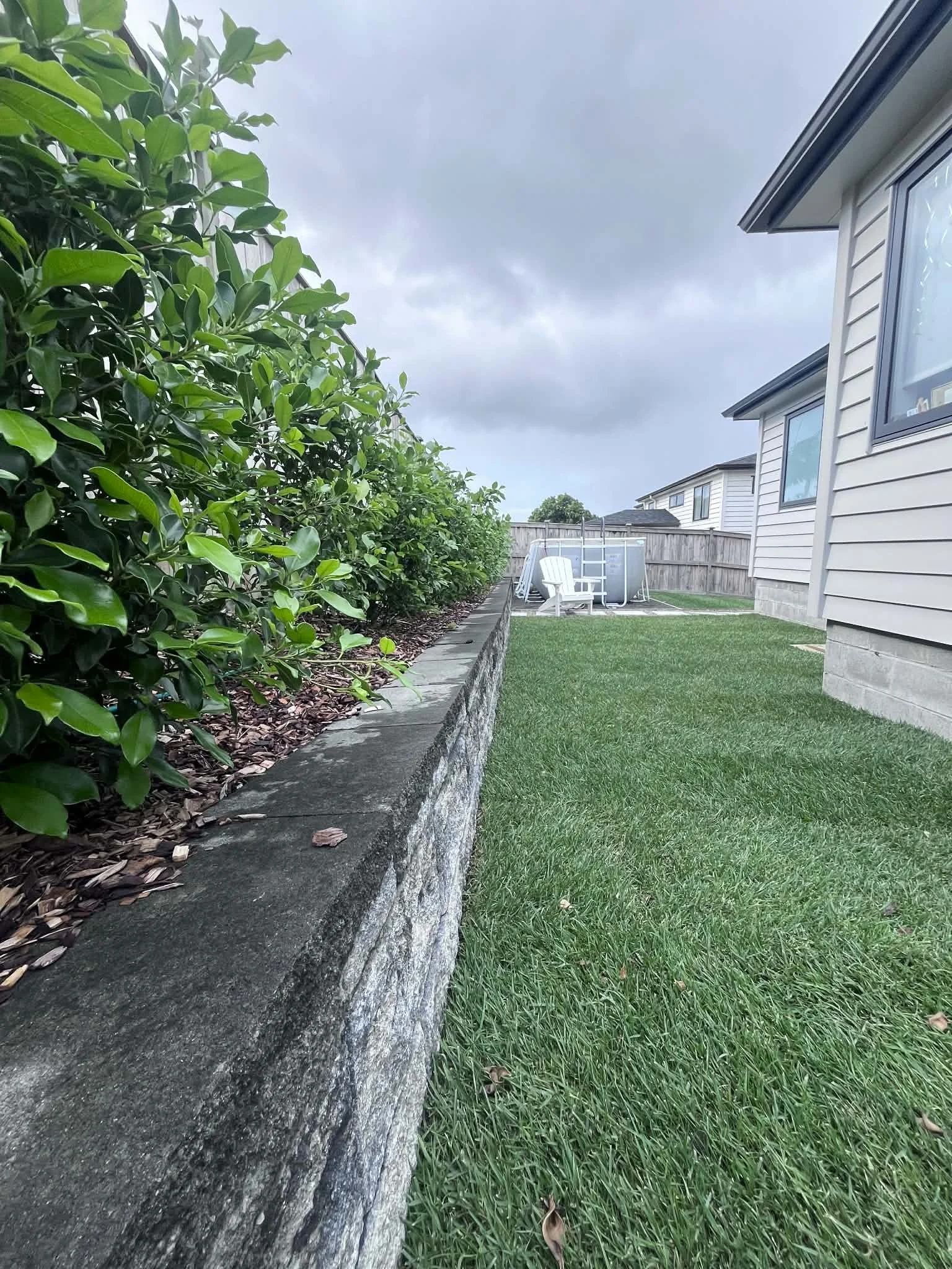 new hedging and lawn installation