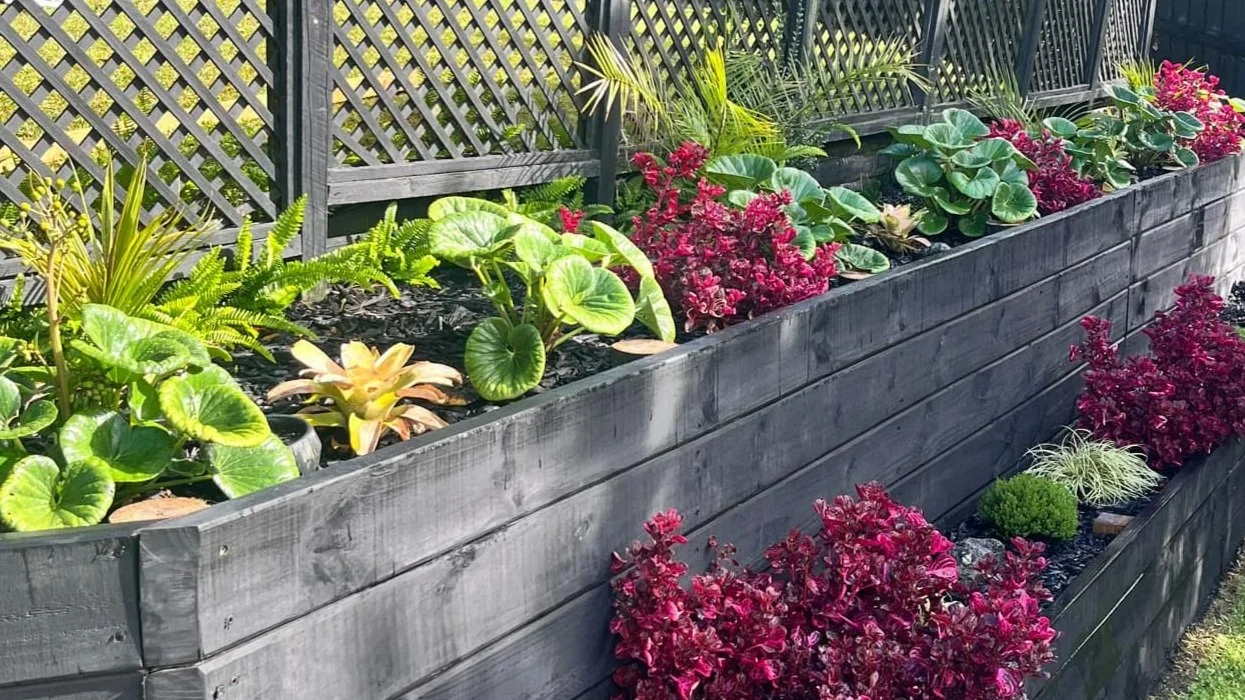 Retaining wall with sub tropical planting