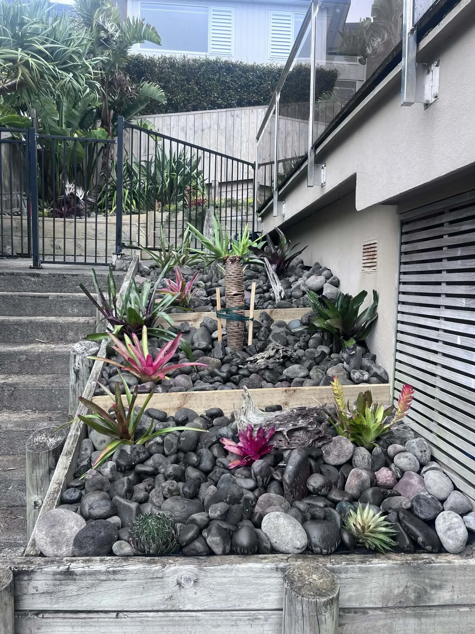 Rock garden with tropical plants