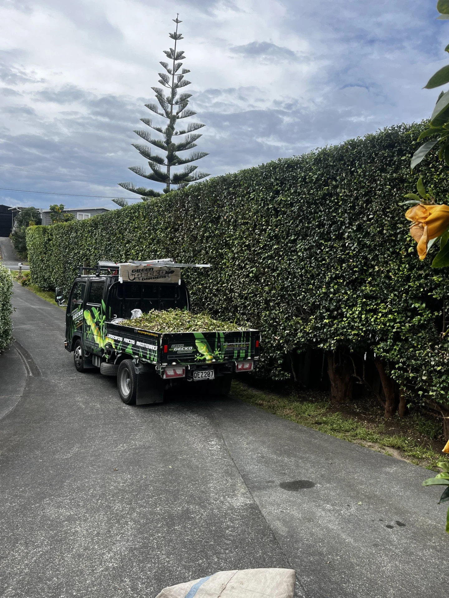 Green Gecko Gardens truck - Hedge trimming