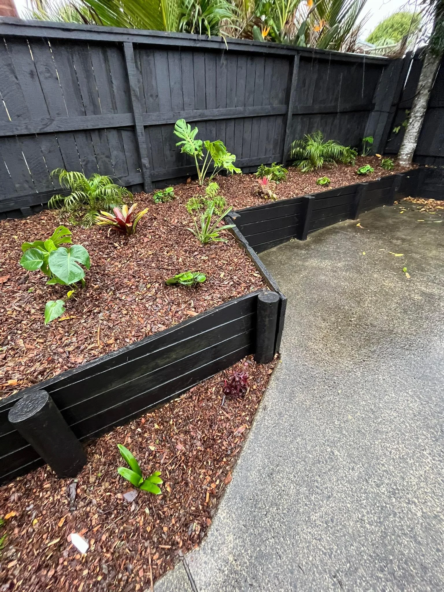 Sub tropical plants within retaining wall