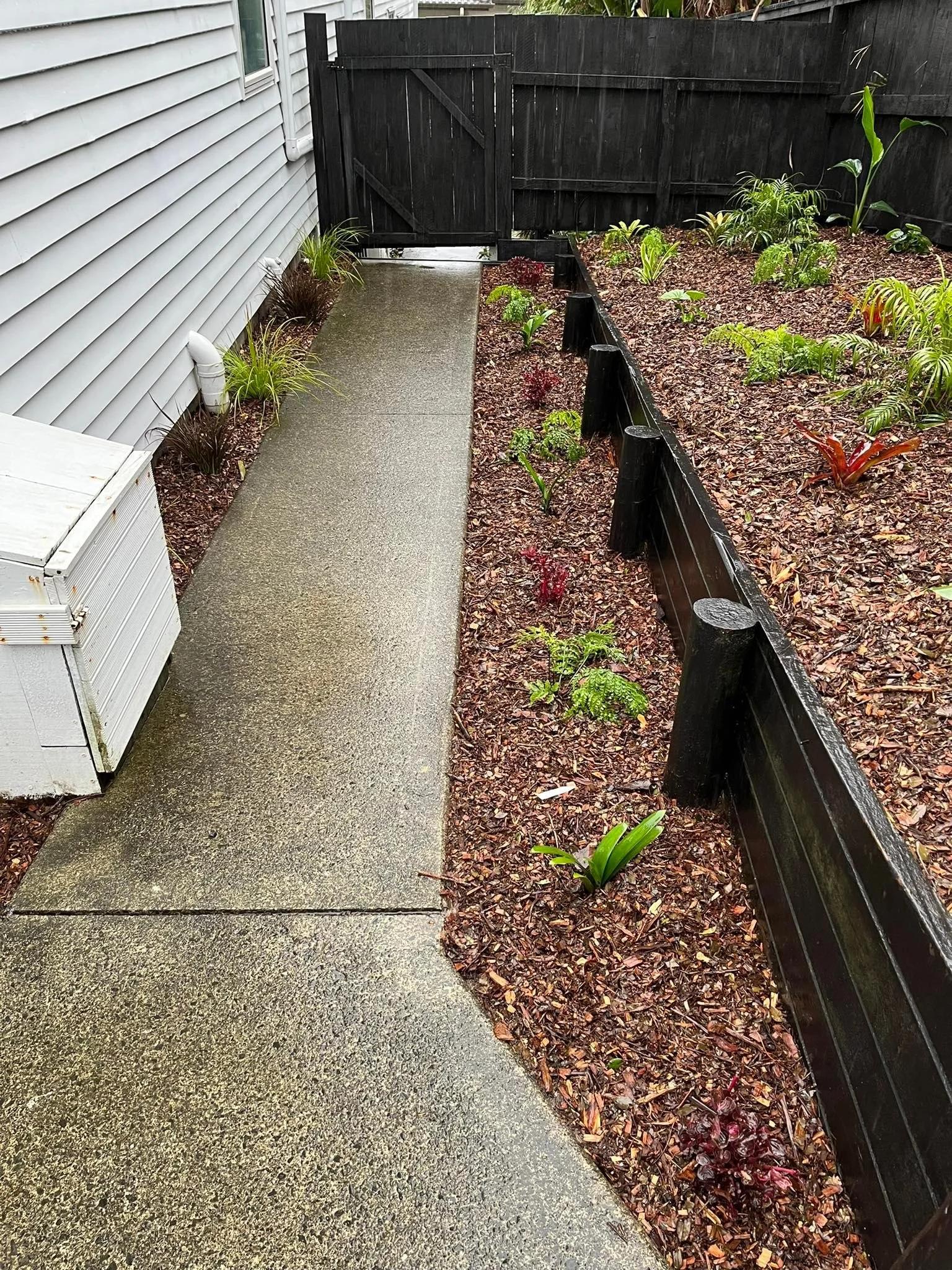 Sub tropical plants within retaining wall