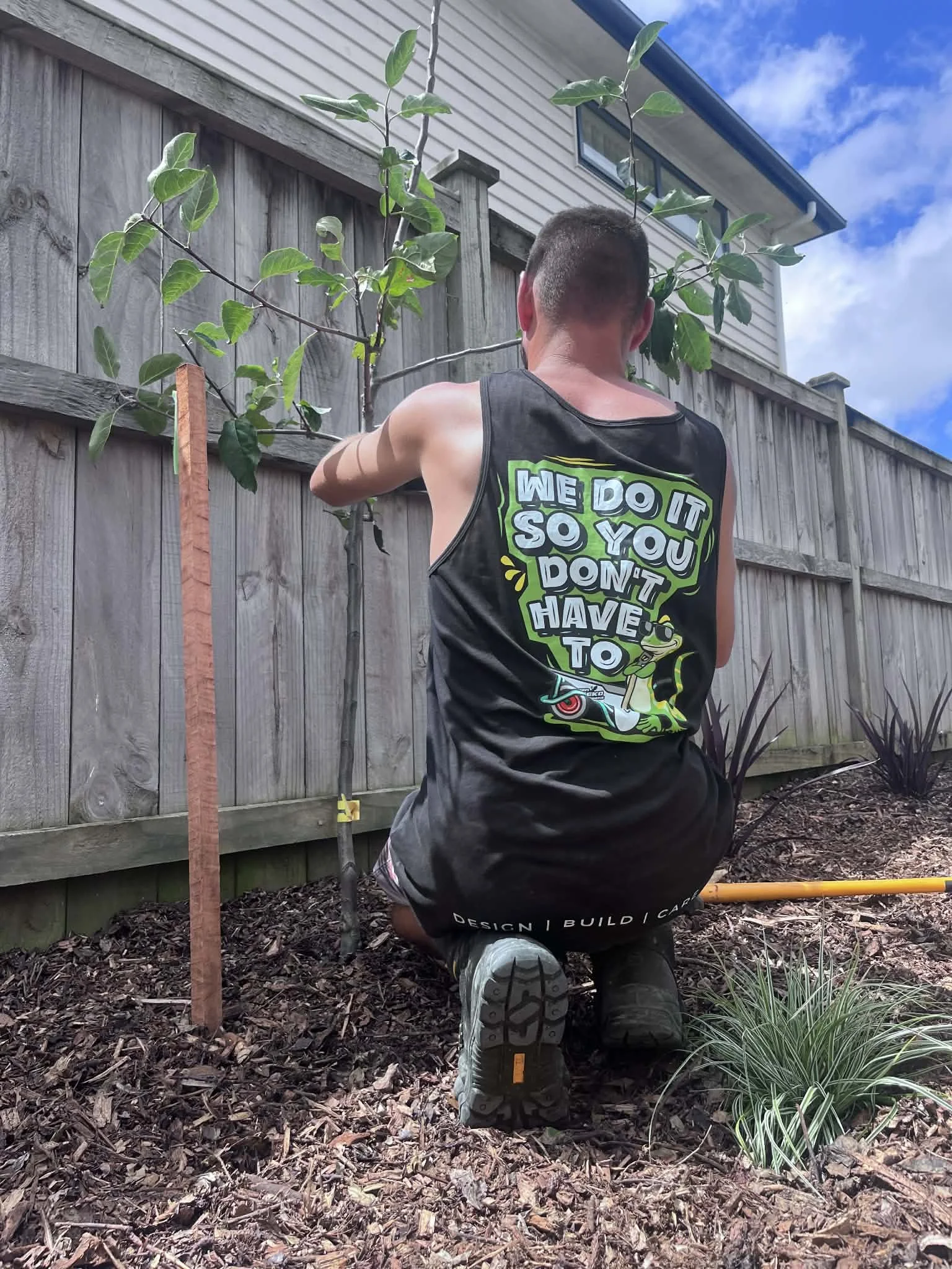 Green gecko garden planting