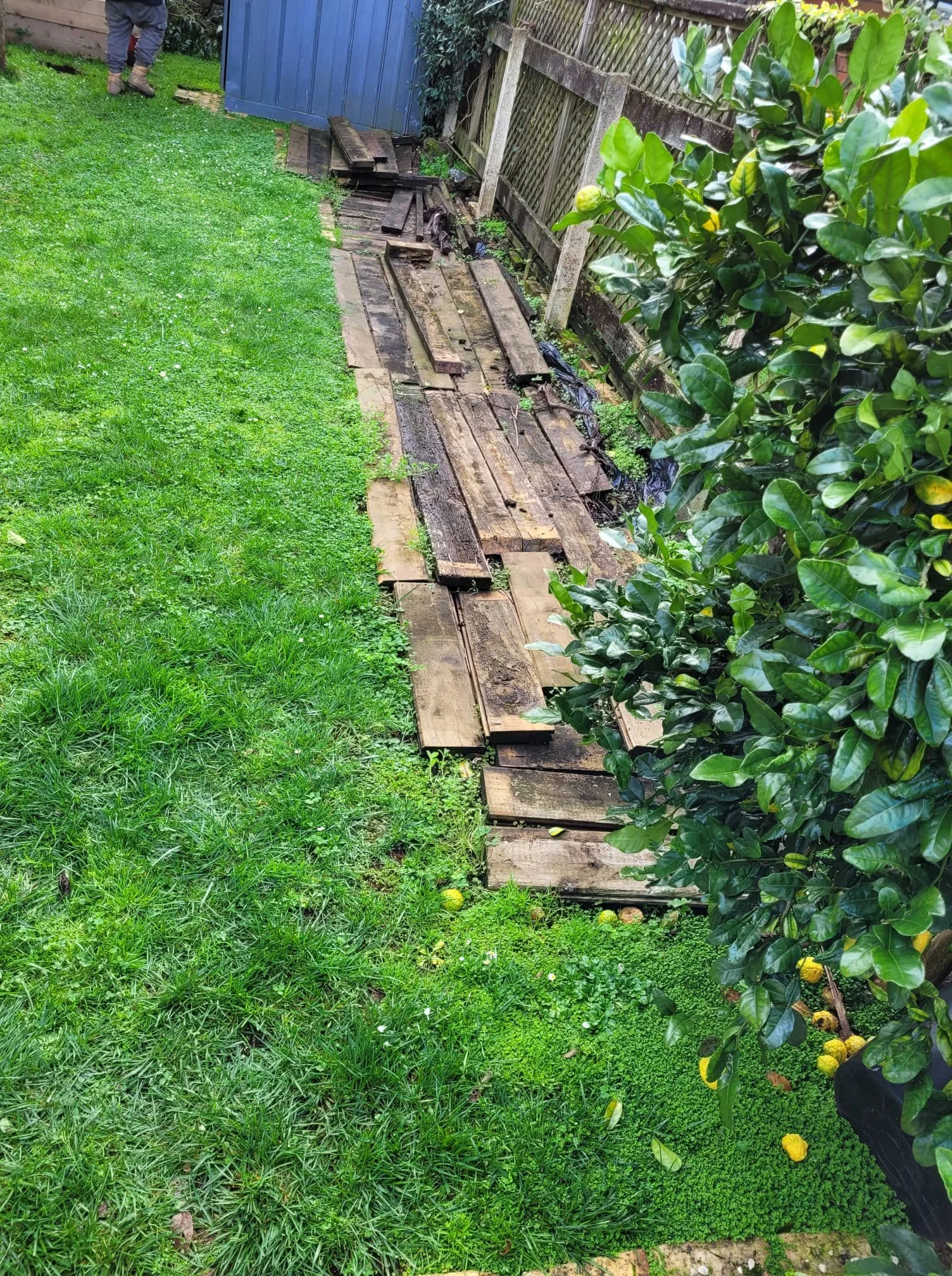 285833988_635294354686755_8059782907354825092_n (1).jpg