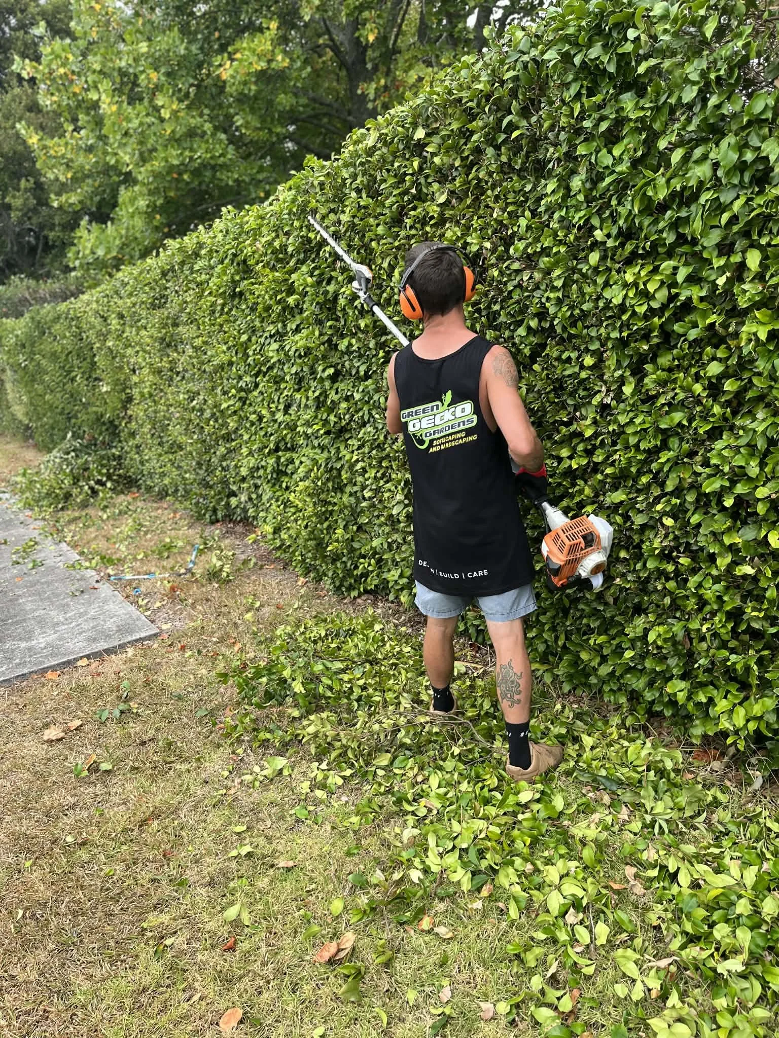 Green gecko gardens - Hedge Trim