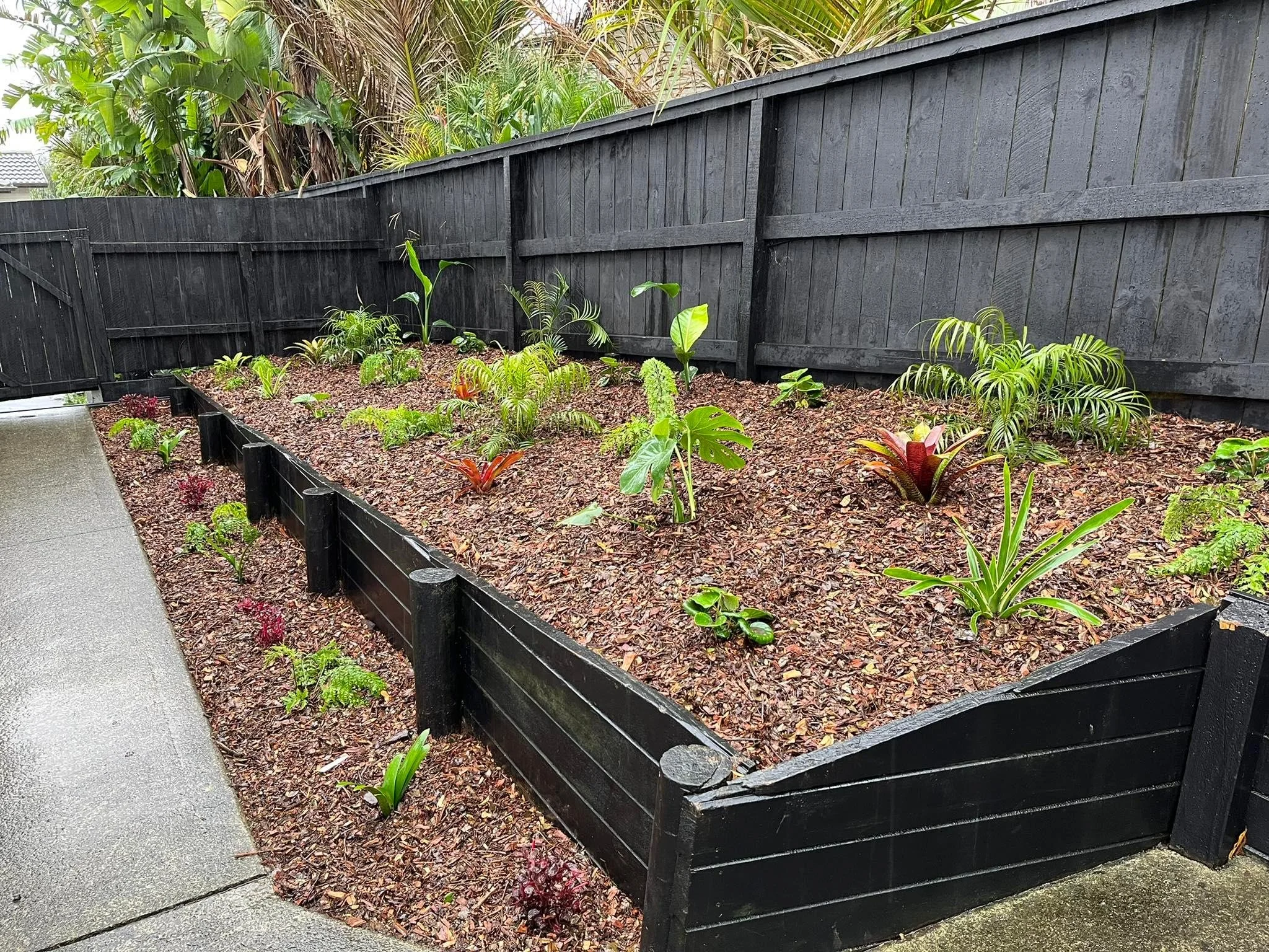 Green Gecko Gardens Sub tropical planting