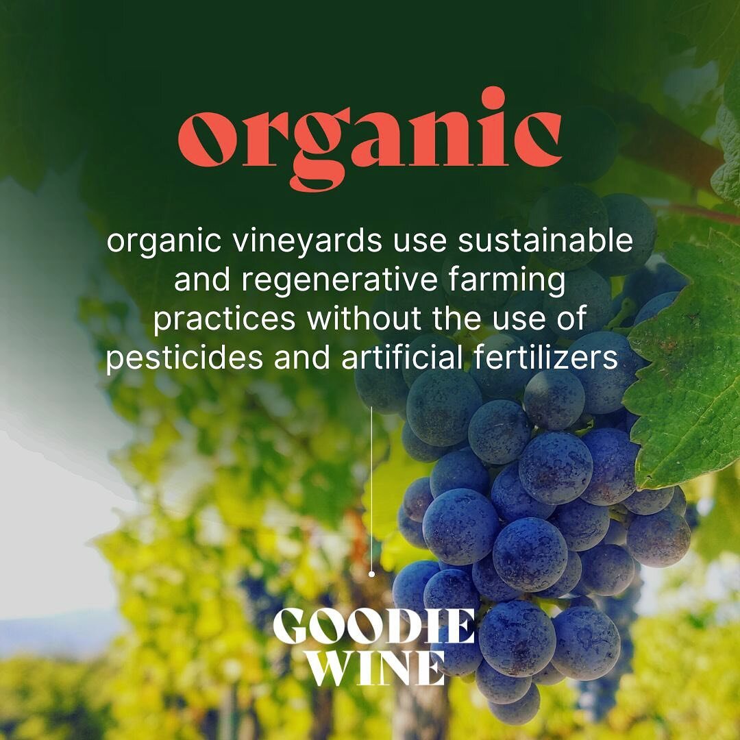 If you buy organic when shopping for groceries, why aren&rsquo;t you buying organic wine??? We&rsquo;re on the mission of making discovering organic wine easy and fun ~ head over to our website and join the waitlist to be the first to know when our G