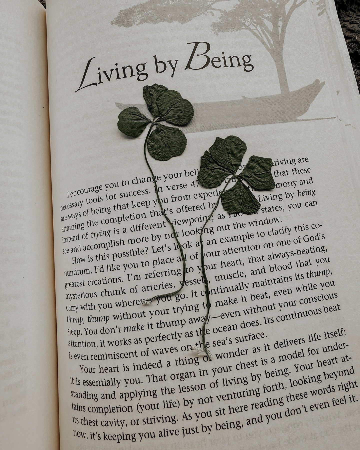 really taking my word of the year seriously - you can find me soaking up every moment here in the present. 🍀