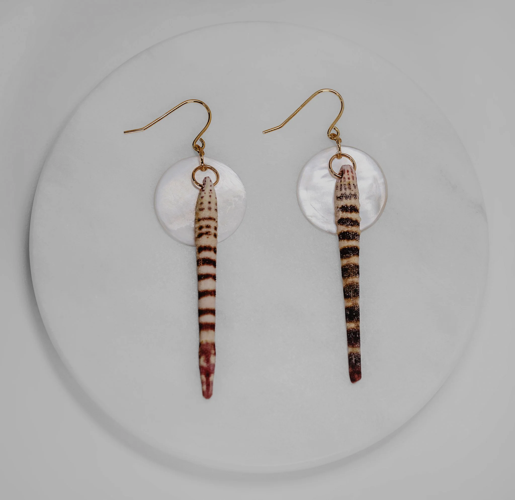 Canis Calva-69RS.jpg