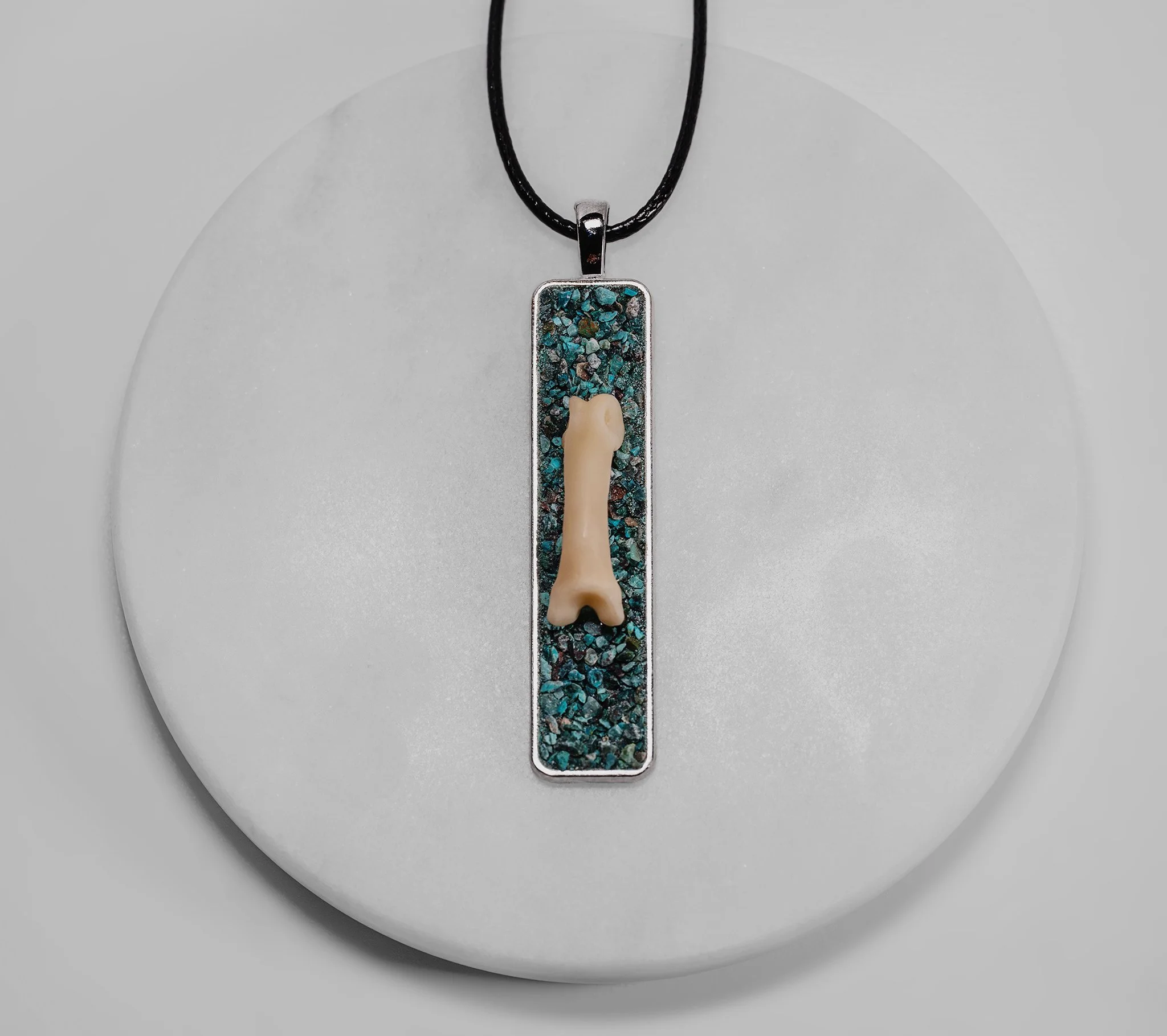 Canis Calva-44RS.jpg