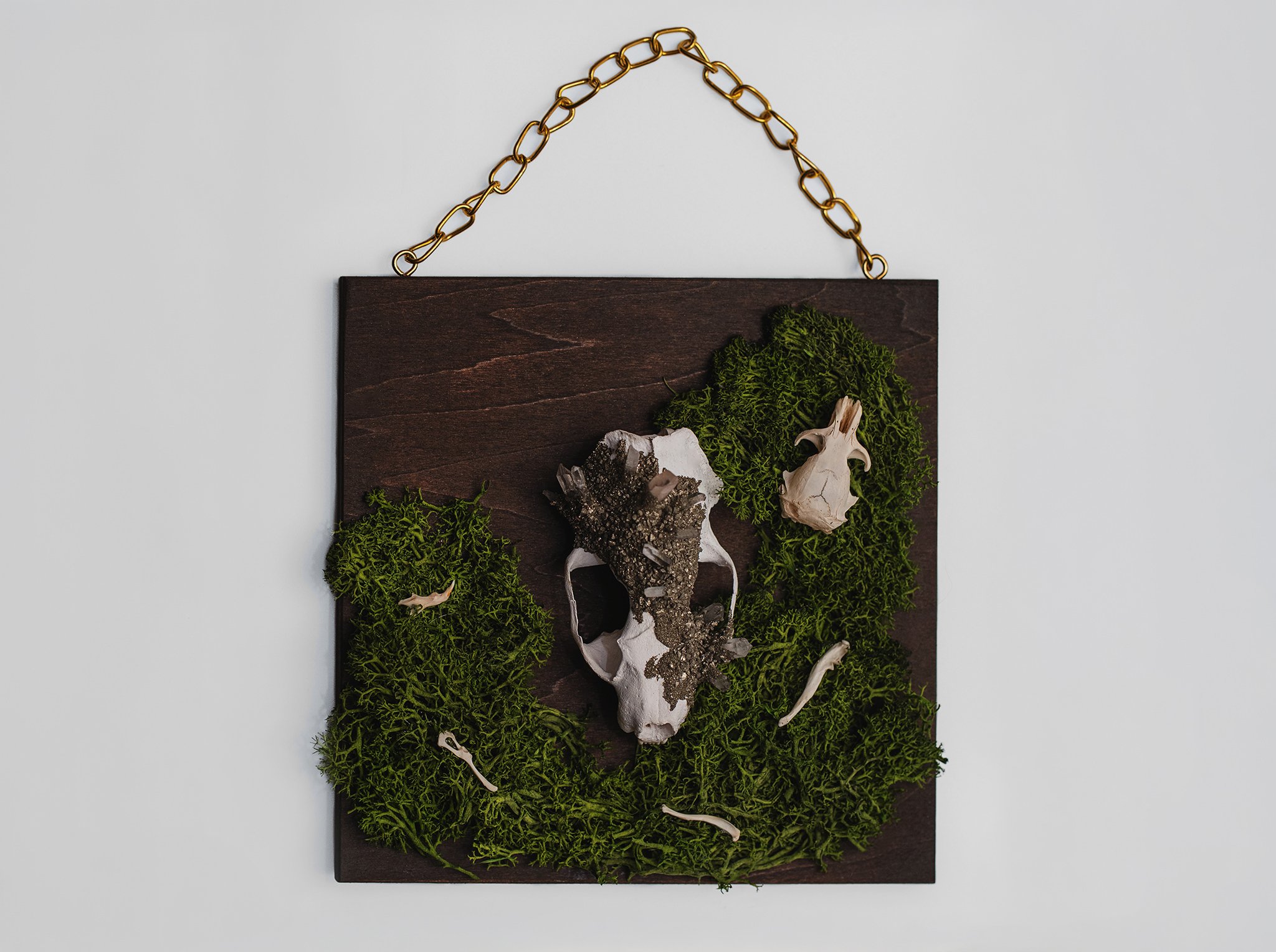 Mink Skull Wall Hang With Preserved Moss and Rodent Bones