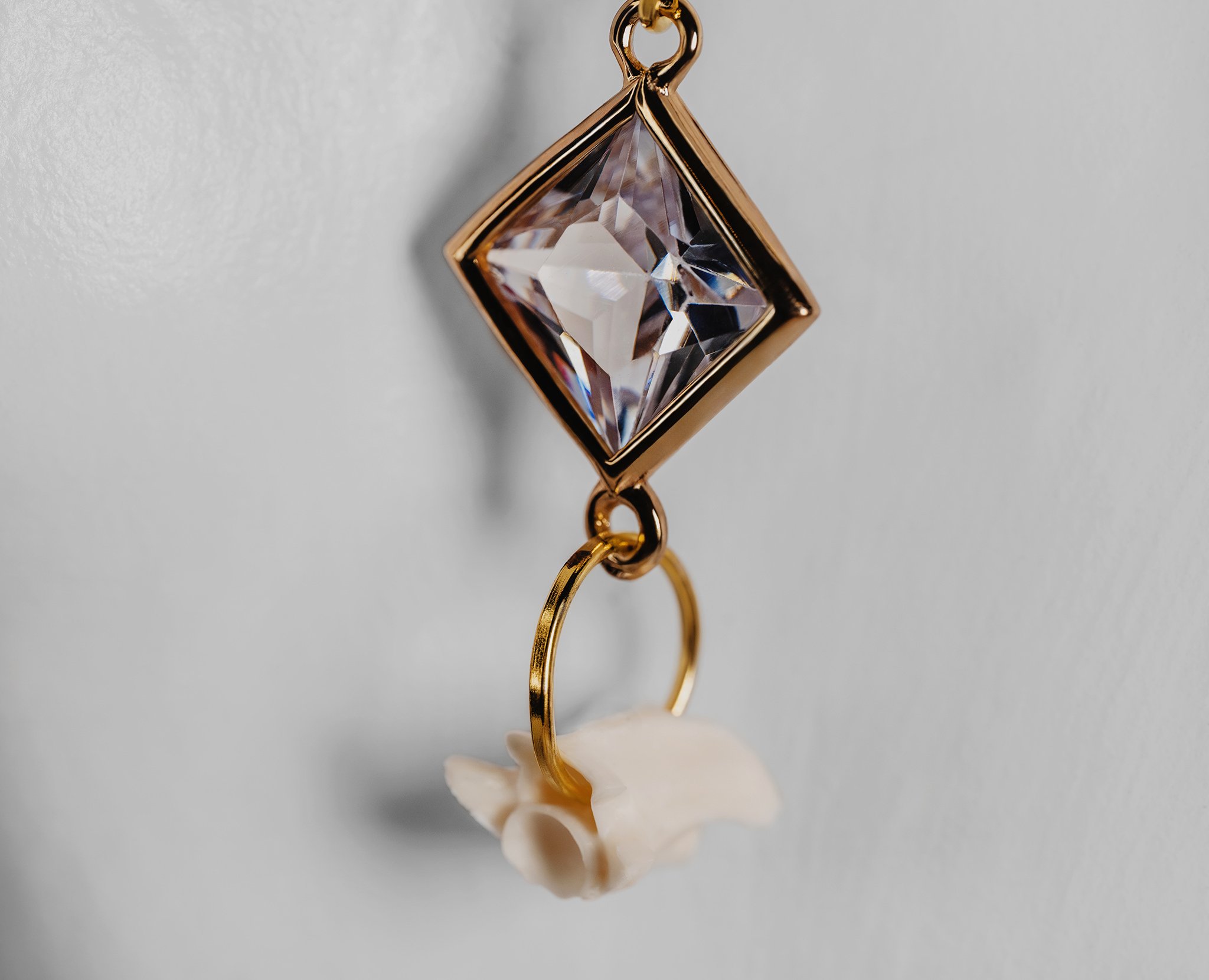 Canis Calva-50RS.jpg