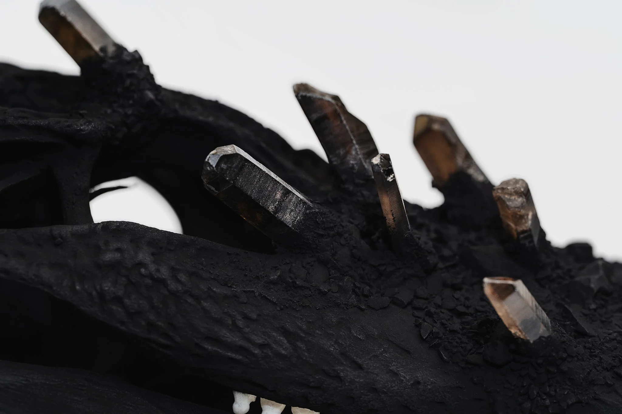 Canis Calva - Matte Black Alligator-7RS.jpg