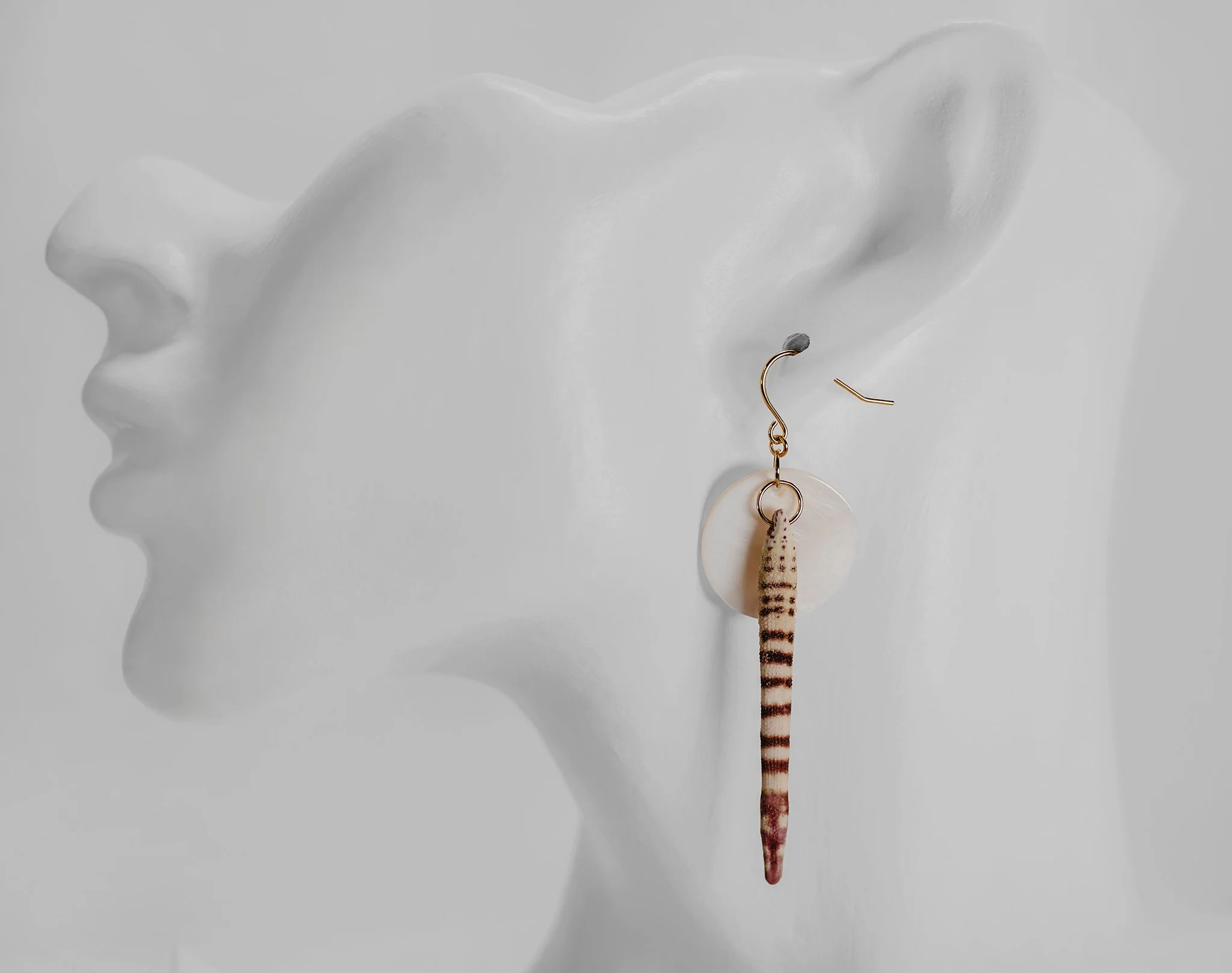 Canis Calva-66RS.jpg