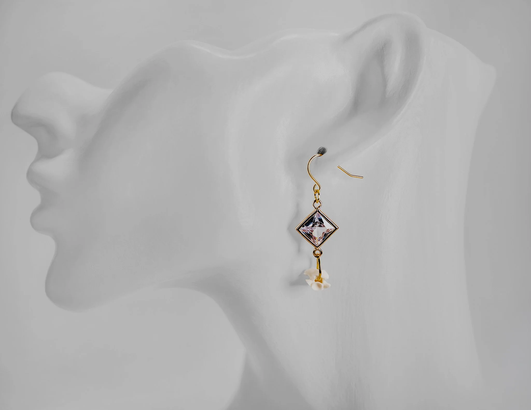 Canis Calva-51RS.jpg