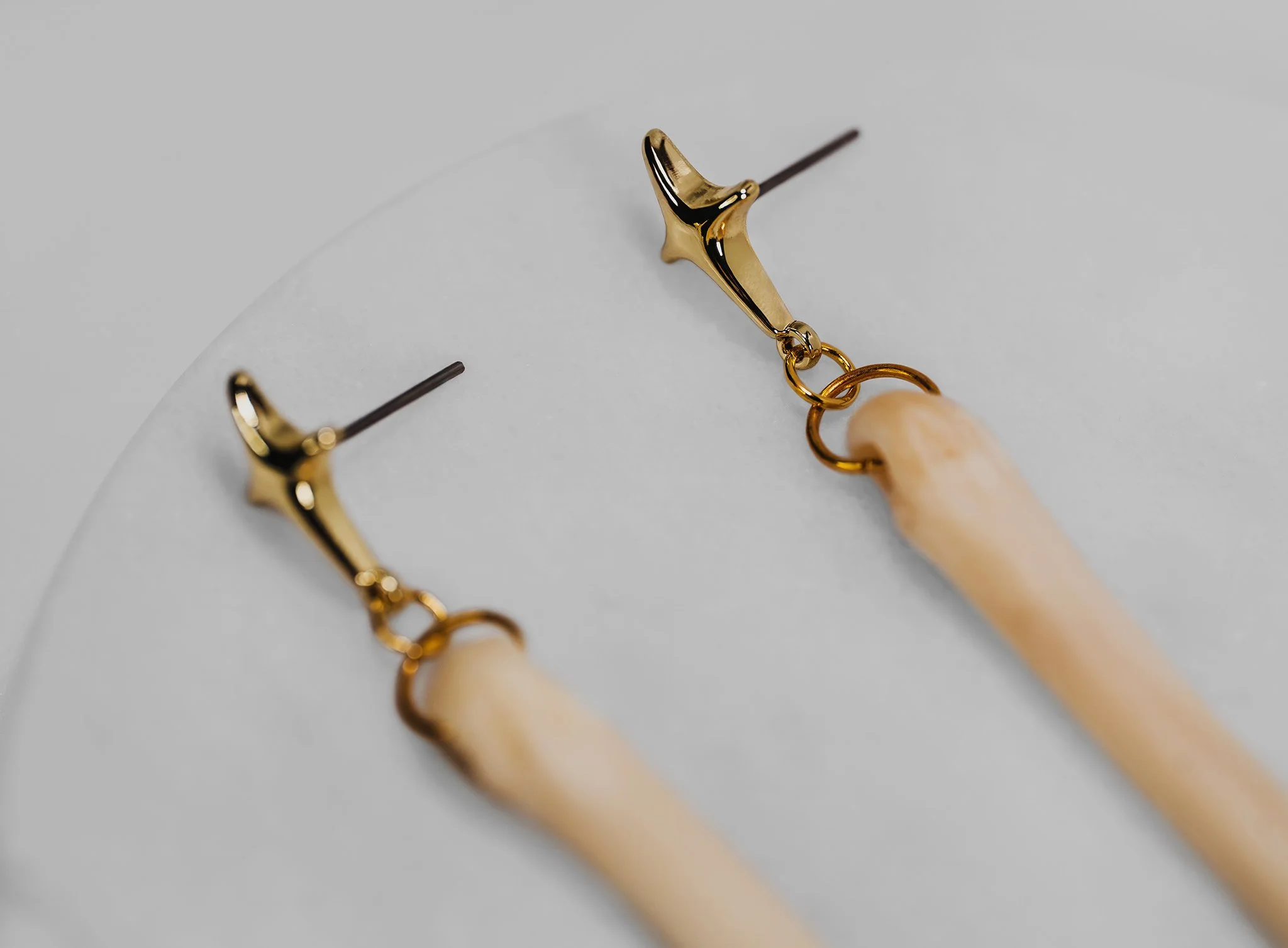 Canis Calva-39RS.jpg