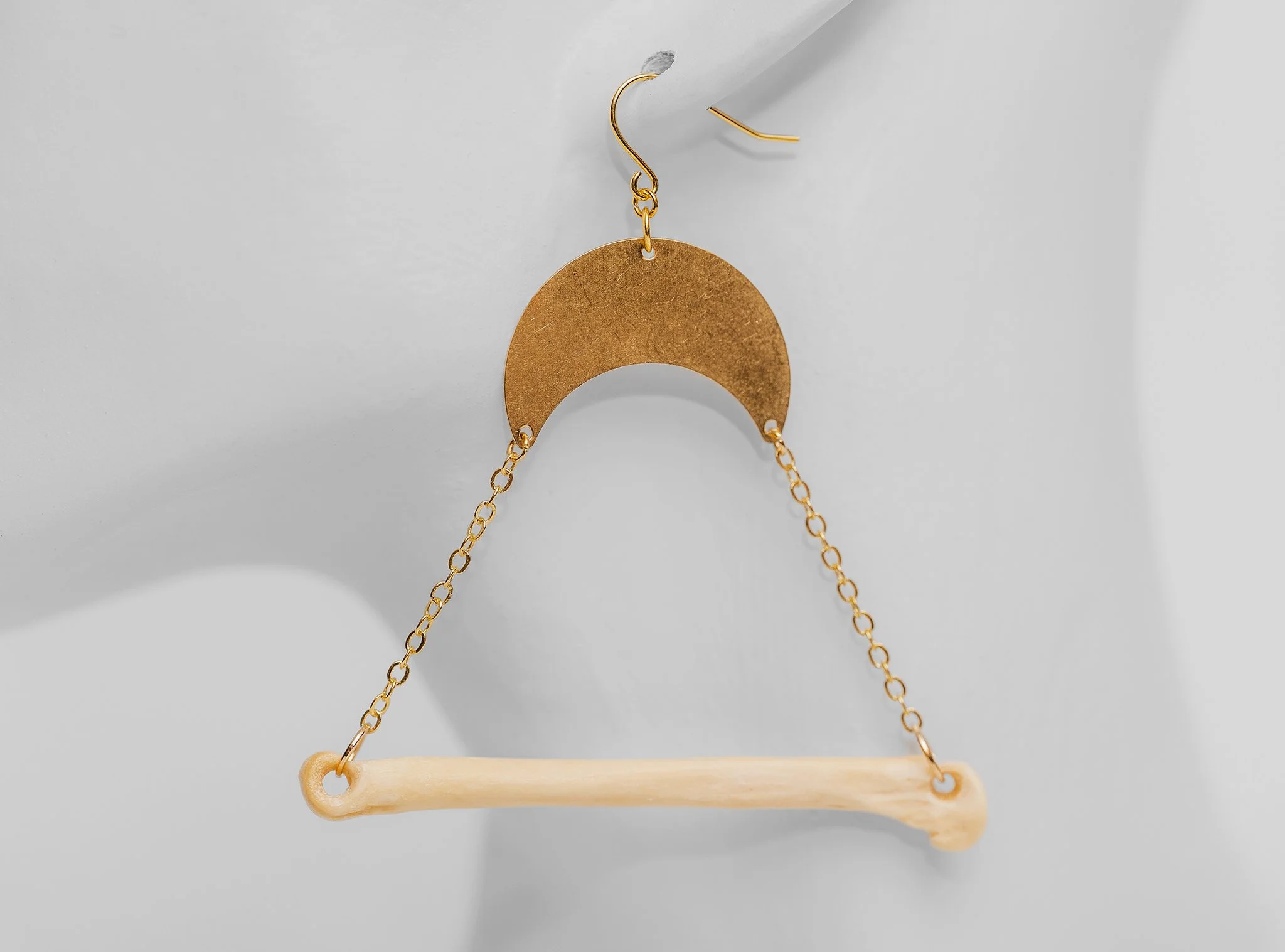 Canis Calva-18RS.jpg