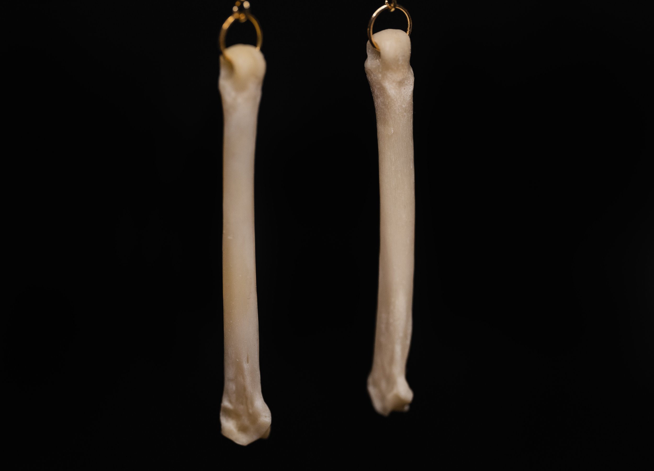 Earrings02_003.jpg