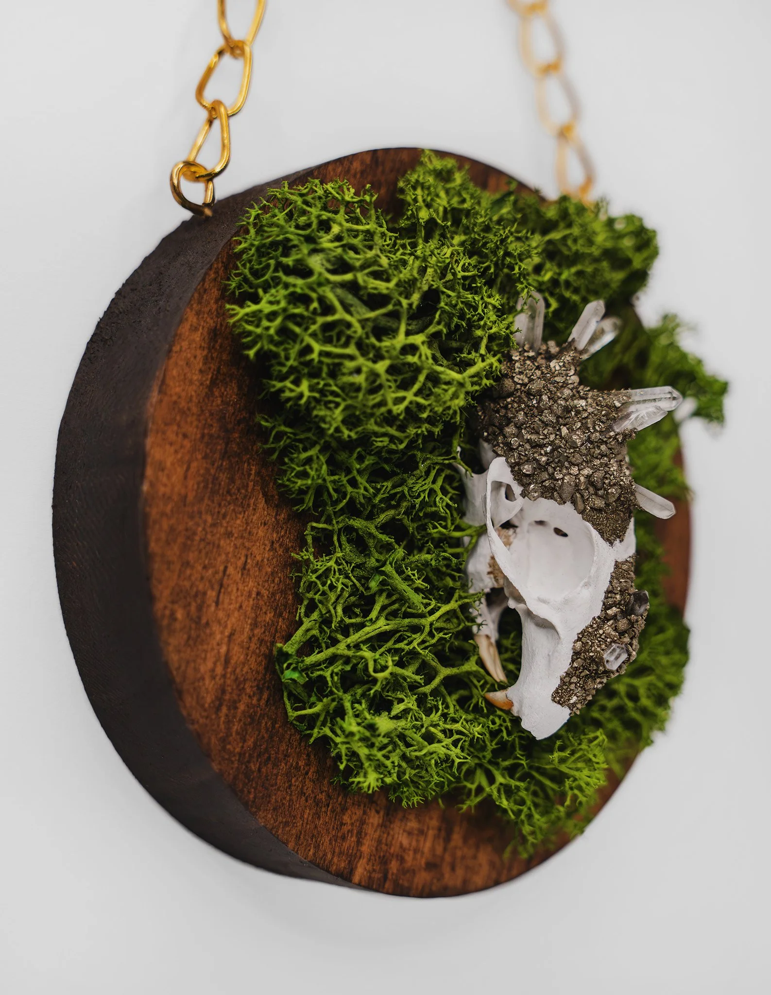 Crystallized Rat Skull on Preserved Moss Home Decor
