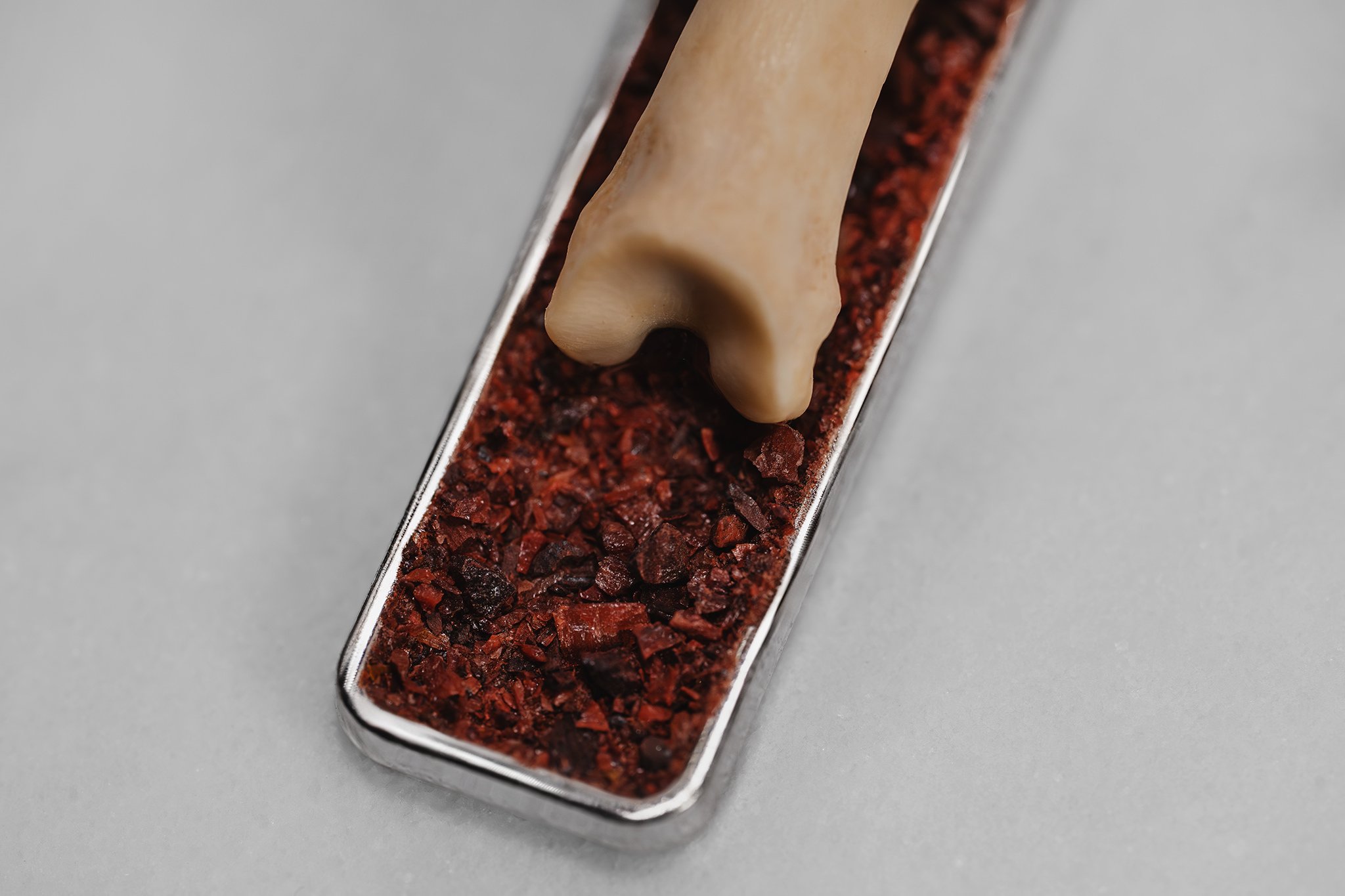 Canis Calva-49RS.jpg