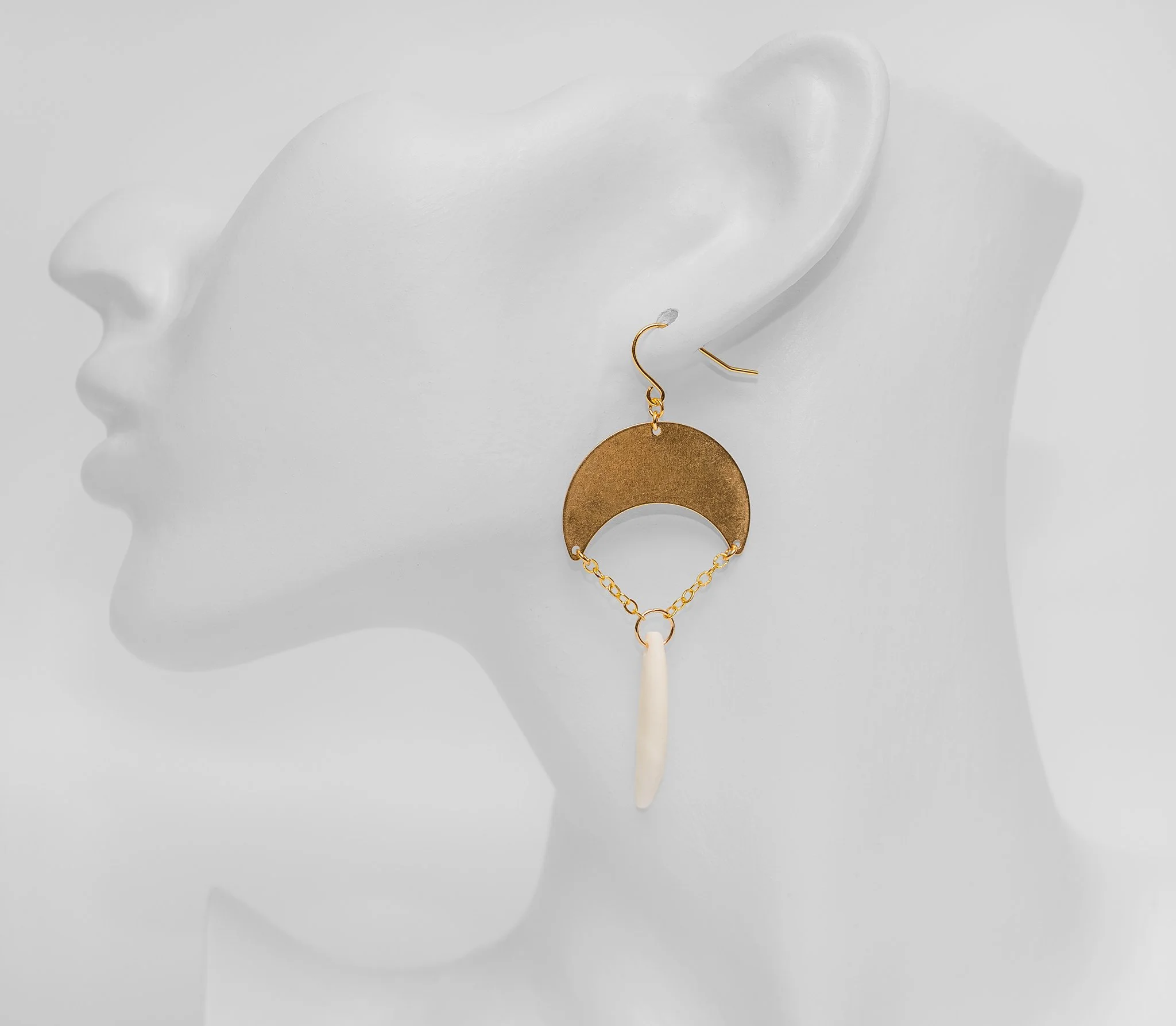 Canis Calva-28RS.jpg