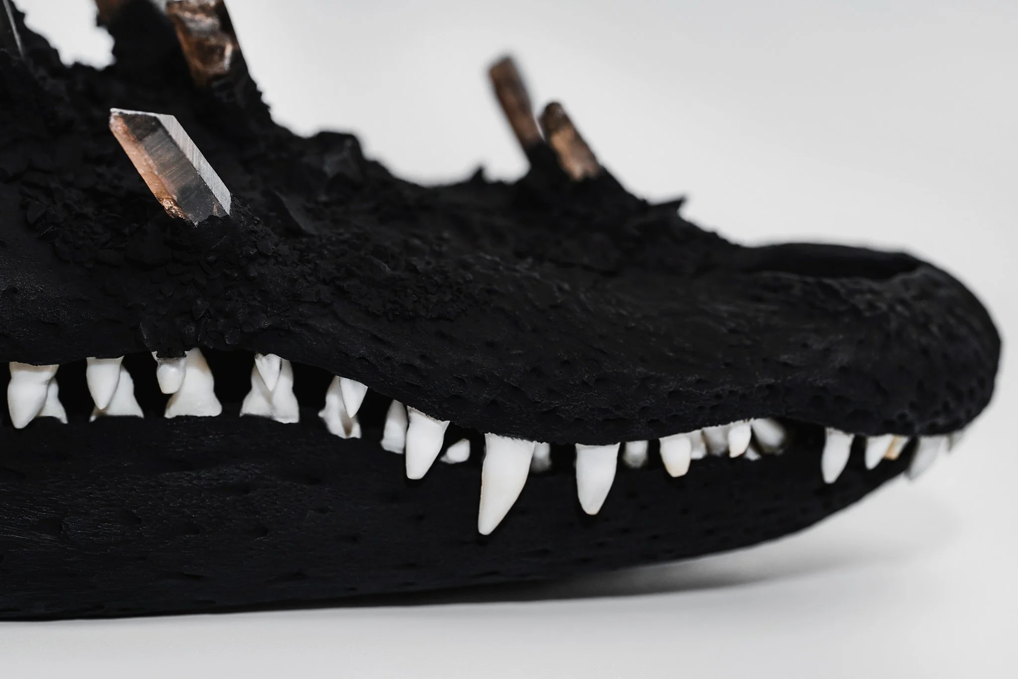 Canis Calva - Matte Black Alligator-6RS.jpg