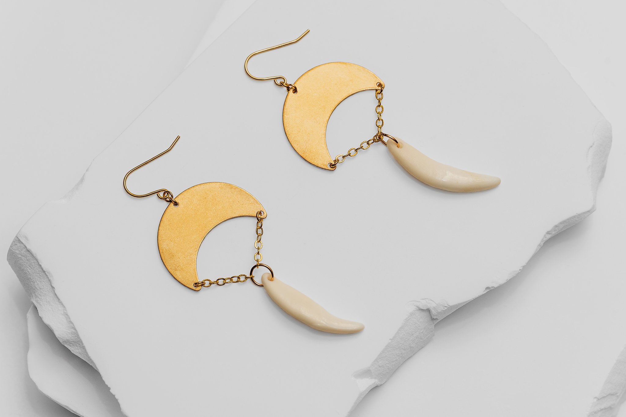 Canis Calva-29RS.jpg