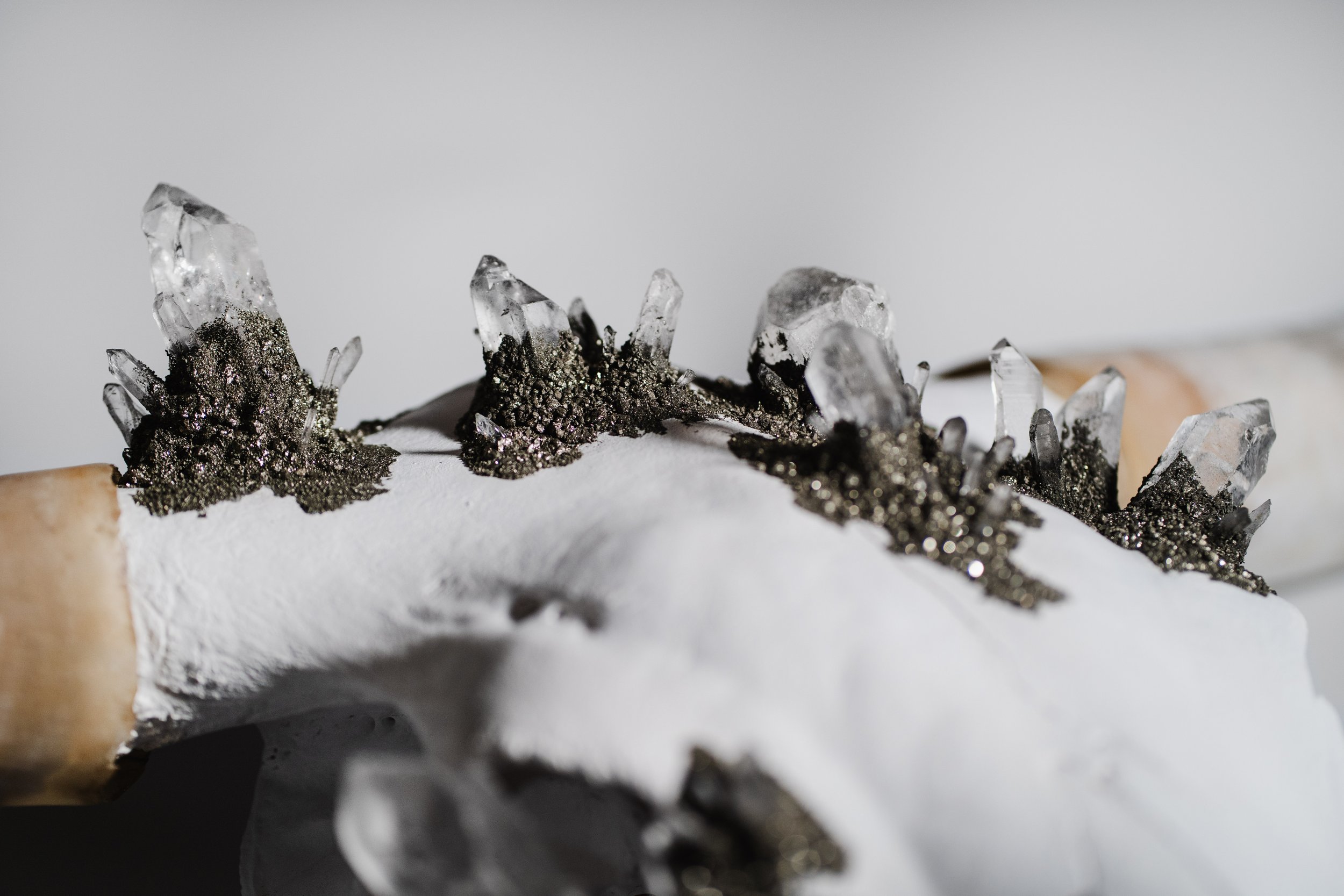 Canis Calva - Longhorn_003.jpg