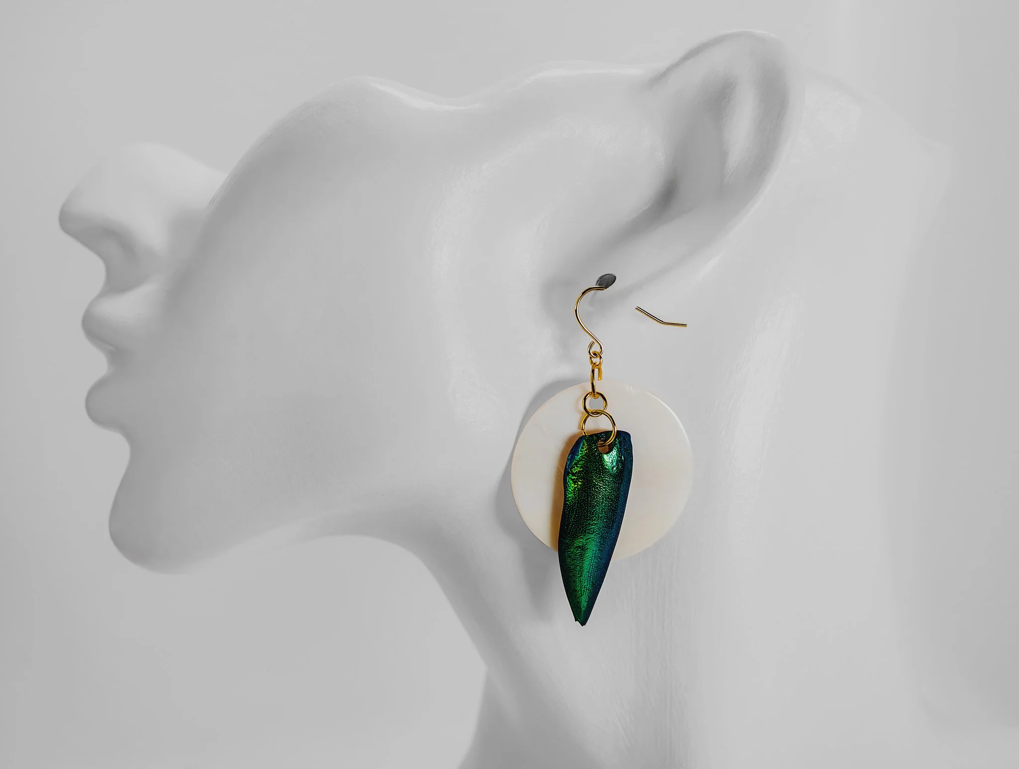 Canis Calva-58RS.jpg