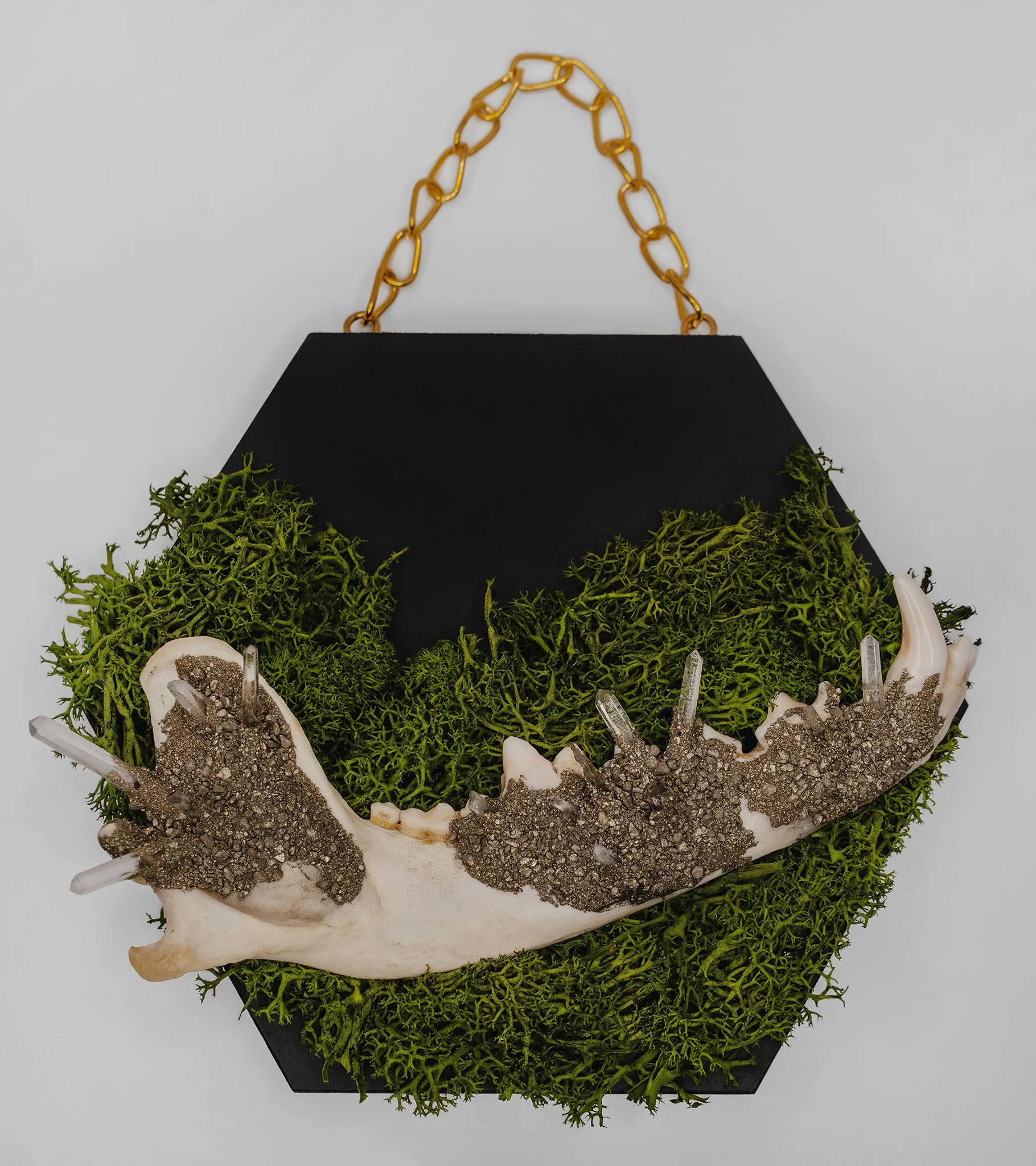 Coyote Jaw with Clear Quartz & Pyrite on Preserved Moss Wall Hang